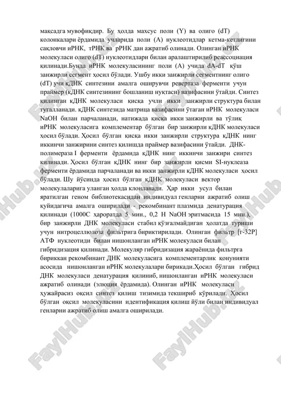 k sintezini amalga oshiruvchi revertaza fermenti uchun praymer (kdnk sintezining boshlanish nuqtasi) vazifasini o'taydi. sintez qilingan kdnk molekulasi qisqa uchli ikki zanjirli struktura bilan tugallanadi. kdnk sintezida matritsa vazifasini o'tagan irnk molekulasi naoh bilan parchalanadi, natijada qisqa ikki zanjirli va to'liq irnk molekulasiga komplementar bo'lgan bir zanjirli kdnk molekulasi hosil bo'ladi. hosil bo'lgan qisqa ikki zanjirli struktura kdnk ning ikkinchi zanjirini sintez qilishda praymer vazifasini o'taydi. dnk-polimeraza i fermenti yordamida kdnk ning ikkinchi zanjiri sintez qilinadi. hosil bo'lgan kdnk ning bir zanjirli qismi si-nukleaza fermenti yordamida parchalanadi va ikki zanjirli kdnk molekulasi hosil bo'ladi. shu yo'sinda hosil bo'lgan kdnk molekulasi vektor molekulalariga ulangan holda klonlanadi. har ikki usul bilan yaratilgan genom bibliotekasidan individual genlarni ajratib olish quyidagicha amalga oshiriladi - rekombinant plazmida denaturatsiya qilinadi (1000s haroratda 5 min., 0,2 n naoh eritmasida 15 min.), bir zanjirli dnk molekulasi stabil qo'zg'almaydigan holatda turishi uchun nitrotsellyuloza filtriga biriktiriladi. olingan filtr [g-32p] atf …