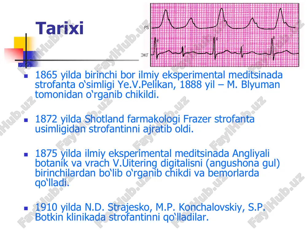 iladigan, kon plazmasi oksillari bilan kam boglanadigan, deyarli biotransformatsiyaga uchramaydigan va asosan buyraklar orkali chikarib yuboriladigan preparatlar. bu gurux preparatlariga strofantin va korglikon lar kiradi. • nopolyar (lipofil yoki yogda eruvchilar) yurak glikozidlari – oshkazon- ichak yullaridan yaxshi suriluvchi, kon plazmasi oksillari bilan yukori darajada boglanuvchi, jigarda biotransformatsiya buluvchi, buyraklar orkali fakat ularning suvda digitoksin. eruvchi metabolitlari ekskretsiya buluvchi preparatlar. bu guruxga kiruvchi preparatlarini lipofilligini ortishi buyicha kuyidagi tartibda joylashtirish mumkin: izolanid < digoksin < metildigoksin < atsetildigitoksin < yurak glikozidlarini farmakodinamikasi (ta’sir mexanizmi)  yurak glikozidlari miokardiotsitlarda na+,k+ - atf aza (natriy nasosi) susaytirib, sitoplazmada natriy ionlarini to‘planishiga olib kladi, u uz navbatda sa2+ chikishini tuxtatadi. oxir okibatda yurak glikozidlari xujayra ichidagi aktin-troponin-tropomiozin kompleksi bilan boglanuvchi sa2+ konsentratsiyasini ortishiga olib keladi va aktin xamda miozinni uzaro munosabatlarini stimulaydi. bu ta’sir mexanizmi natijasida yurakni elektrofiziologiyasida uziga xos uzgarishlarni keltirib chikaradi. yurak glikozidlarini yurak elektrofiziologiyasiga asosiy ta’sirlari xarakteristikasi tukima bulmachalar miokardi …