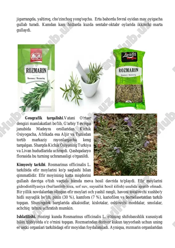 nus officinalis l. tarkibida efir moylarini ko'p saqlashi bilan qimmatlidir. efir moyininig katta miqdorini gullash davriga o'tish vaqtida hamda meva hosil davrida to'playdi. efir moylarini gidrodistillyasiya (buѓlantirib toza, sof suv, suyuќliќ ћosil ќilish) usulida ajratib olinadi. bir yillik novdalardan olingan efir moylari och yashil rangli, havoni tozalovchi xushbo'y hidli suyuqlik bo'lib, pinin (30 %), kamfora (7 %), kariofilen va bornelasetatdan tarkib topgan. shuningdek barglarida alkaloidlar, kislotalar, oshlovchi moddalar, smolalar, achchiq ta'mni uchratish mumkin. ishlatilishi. hozirgi kunda rosmarinus officinalis l. o'zining shifobaxshlik xususiyati bilan tibbiyotda o'z o'rnini topgan. rozmarindan dorivor kukun tayyorlash uchun uning er ustki organlari tarkibidagi efir moyidan foydalaniladi. ayniqsa, rozmarin organlaridan ajratib olib tayyorlangan rozmarin moyi juda qimmatli hisoblanadi. bronxial astmada o'simlik qaynatmasidan har kuni iste'mol qilish tavsiya etiladi. qon bosimi tushganda, yurak faoliyati o'zgarishida, hayz ko'rish jarayonini tezlatishda rozmarin bargidan tayyorlangan qaynatmadan davolovchi vosita sifatida foydalanilgan. xalq tabobatida bir yillik novdalaridan iste'mol qilganda jinsiy zaiflikda quvvatni oshiruvchi, …