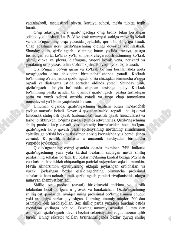 i, hamda undan plevra bilan ajratilgan v. hemiazygosni kesib o„tadi. qizilo„ngach o„ng tomonda yuqorida traxeya bilan bekilgan. xuddi shu yerda o„ng qaytuvchi nervning tarmog„i o„tadi. eng yuqori bo„limida u qalqonsimon bezning o„ng bo„lagiga tegib turadi. chapda qizilo„ngach qalqonsimon bezning chap bo„lagi, shu bezning venalari bilan chegaralanib turadi. unga traxeo-ezofageal burchakdan qizilo„ngachning oldingi sathiga o„tadigan chap qaytuvchi nerv yaqinlashadi. uning yaqinida, chap o„mrov osti sohasida ko„krak yo„li joylashadi. keyinroq qizilo„ngach aorta ravog„ining gorizontal qismiga yaqinlashadi, mediastinal plevra, kardiya sohasi, me'da tubiga tegib turadi. o„ng adashgan nerv qizilo„ngachga o„ng bronx bilan kesishgan sathida yaqinlashadi, bu iv-v ko„krak umurtqasi sathiga muvofiq keladi va qizilo„ngachning orqa yuzasida joylashib, qorin bo„shlig„iga kiradi. chap adashgan nerv qizilo„ngachning oldingi devoriga yaqinlashadi. shunday qilib, qizilo„ngach o„zining butun yo„lida traxeya, pastga tushadigan aorta, ko„krak yo„li, simpatik chegaradosh ustunning ko„krak qismi, o„pka va plevra, diafragma, yuqori kovak vena, perikard va yurakning orqa yuzasi bilan anatomik jihatdan yaqin yoki tegib turadi. …