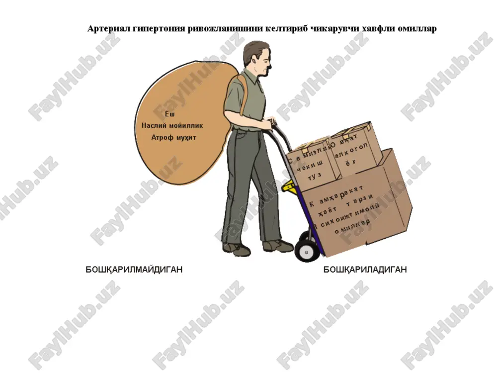 hishi, gipergammaglobulinemiya; • qon bosimi oshishini xavfli kechishi; • asosan diastolik bosim hisobiga ab barqaror oshishi; • buyrak arteriyasi ustida sistolik ba`zan uning diastolik shovqin bilan birga eshitilishi; • angiografiyada zararlangan sohada “munchoq tizimi”ga o`xshash, fibroblastik stenoz va anevrizmatik kengayishlarning aniqlanishi; • buyraklardan biri o`lchamining kichiklashishi; • dorilar bilan davolashda nisbiy rezistentlik mavjudligi; • boshqa soha arteriyalarining ham zararlanishi; • siydikda o`zgarishlar aniqlanmasligi, (ba`zan kam miqdorda proteinuriya, gipostenuriya kuzatilishi mumkin); arterial gipertenziyaga chalingan bemorlarda ilk davoni boshlashga ko`rsatmalar xavf omillari, nishon a`zolarning zararlanishi yoki assotsiyalangan1 klinik holatlar sistolik qon bosimi me`yorida 120-129 yoki diastolik qon bosimi 80-84 sistolik qon bosimi 130-139 - me`yorida yoki baland, diastolik qon bosimi 85-89 1 daraja (yumshoq gipertenziya) sistolik qon bosimi 140-159 yoki diastolik qon bosimi 90-99 2 daraja (mo``tadil gipertenziya) sistolik qon bosimi 160-179 yoki diastolik qon bosimi 100-109 3 daraja (og`ir gipertenziya) sistolik qon bosimi ≥180 yoki diastolik qon bosimi ≥ 110 xavf …