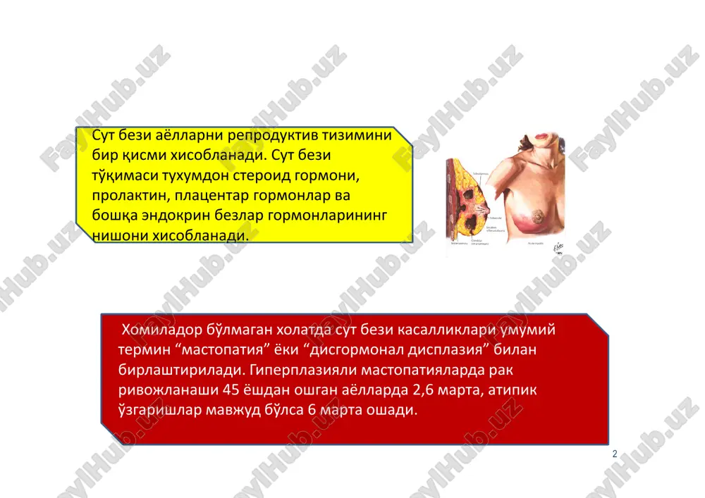 a kasalliklar lipoma adenoma so'rg'ich adenomasi gamartoma granulezxujayrali o'sma bachadondan tashkari xomiladorlikning kam uchraydigan turi bulib, 0,2–0,9% uchraydi. fibroadenoma sut bezi yaxshi sifatli o'smasi, ko'pincha 20-35 yoshdagi ayollarda uchraydi,sekin o'sadi,konturlari aniq.ko'p sonli fibroadenoma kam uchraydi.paypaslaganda xarakatchan sharikni eslatadi.sababi gormonal buzilish,ko'krak travmasi deb xisoblanadi.oddiy 13 fibroadenoma kamdan-kam xolatda yomon sifatli o'smaga aylanadi.tashxis mammografiya va uziga asoslanib qo'yiladi.xirurgik davolanadi. bachadondan tashkari xomiladorlikning kam uchraydigan turi bulib, 0,2–0,9% uchraydi. sut yo'li ichi papillomasi turli xil tugunli mastopatiya,sut yo'lining yaxshi sifatli o'smasi.sababi gormonal buzilish hisoblanadi.har qaysi yoshdagi ayollarda uchraydi.bosilganda noxush og'riqli hissiyot uchraydi.bosilganda noxush og'riqli hissiyot seziladi,so'rg'ichdan tiniq,yashil – pushti va qonli ajralma ajraladi.sut yo'li ichi papillomasi bitta bo'lishi mumkin,ba'zan ko'p sonli bo'lishi mumkin.tashxis qo'yishda sut yo'liga kontrast modda yuborib sut bezini duktografiya-rentgenografiya qilish asosiy ma'lumotni beradi. davo faqat jarroxlik yo'li sut bezi kistasi – suyuq modda bilan to'lgan sut bezi yaxshi sifatli o'smasi.sut bezi kistasi nisbatan ko'p uchraydi. sut bezi kistasida sut bezi …