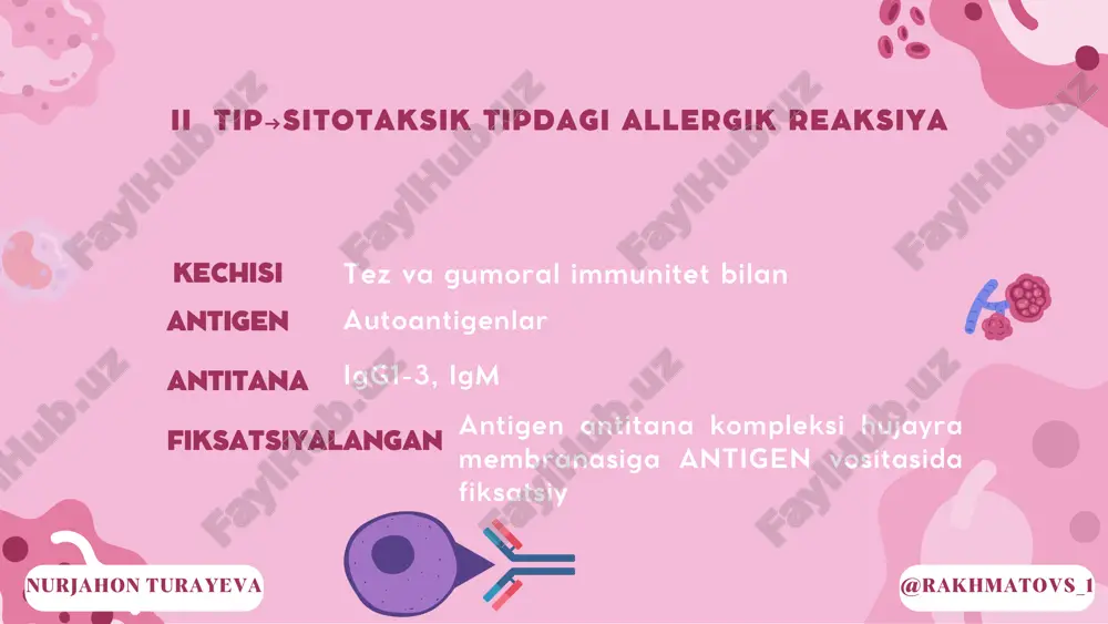 jahon turayeva oʻtkir revmatik isitma betta gemolitik streptokoklar @rakhmatovs_1nurjahon turayeva antitana hosil boʻladi molekulyar mimikriya komplement sistemasi bilan bogʻliq emas antitanaga bogʻliq hujayra disfunksiyasi miyasteniya gravis graves kasalligi @rakhmatovs_1nurjahon turayeva miyasteniya gravis @rakhmatovs_1nurjahon turayeva @rakhmatovs_1nurjahon turayeva @rakhmatovs_1nurjahon turayeva graves kasalligi myasthenia gravis (lot. myasthenia gravis qadimgi yunoncha mῦ s “mushak” + ἀsththenea “kuchsizlik, kuchsizlik” + gravis – “qattiq” ) — autoimmun nerv-mushak kasalligi boʻlib, silliq tolali mushaklarning patologik tez charchashi bilan tavsiflanadi. bunda nerv-mushak sinapslarida impulslar o'tqazuvchanligi buzilishi kuzatiladi.bu kasallik patalogik mushaklar charchashi yoki miastenik krizga olib keladi. sabablari: stress, o'rvi, timus giperplaziya va o'smalari. patogenezi asosida : ii-tip allergik reaksiya rol o'ynaydi. nerv- mushak sinapsning postsinaptik menbranasida joylashgan atsetilxolin retseptorlariga qarshi auto-at hosil bo'ladi. bu antitelolar retseptlarni bloklab mediatorlar bilan bogʻlanishini to'sadi. nurjahon turayeva @rakhmatovs_1 miastenik kriz - mushaklarning yaqqol zaifligi, nafas olish va yutish aktining buzilishi bilan kechuvchi, miyasteniya bilan og'rigan bemorlar ahvolining to'satdan keskin yomonlashishi hisoblanib, ko'pincha …