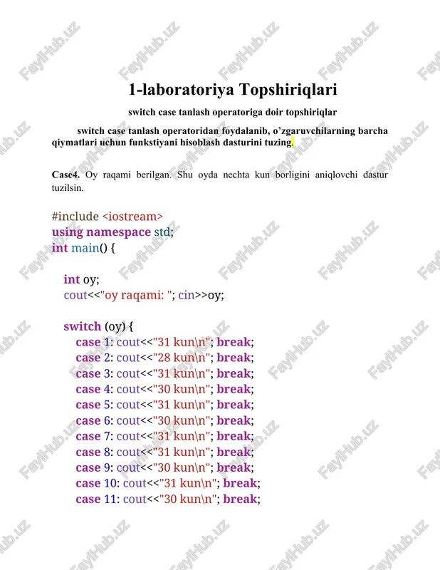 switch case tanlash operatori - Page 2