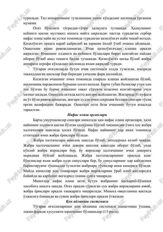 alib turadi. to'garak og'izlilarda butun ichak sistemasi sodda tuzilgan, yuqorida ta'kidlangan qismlar bir-biridan unchalik farq qilmaydi. kesilgan ichakning ichki tomonida spiral klapan joylashgan bo'lib, shilimshiq pardasimon burmani hosil qiladi. barcha tuban baliqlar uchun ham xos bo'lgan bu burma ichakning ovqat so'ruvchi yuzasini kengaytirish uchun xizmat qiladi. oshqozon ostida katta jigari joylashgan. jigarida o't pufagi va o't yo'li rivojlanmagan, jigari xuddi ichki sekretsiya bezlari singari to'siq organ vazifasini bajaradi. oshqozon osti bezi ichakning butun yuzasida tarqalgan. nafas olish organlari barcha umurtqalilar singari minogada ham nafas olish organlari, hazm nayining oldingi qismi bo'lgan halqumni bo'rtib chiqishidan o'ziga xos jabra xaltachalari shaklida hosil bo'ladi. nafas nayining har ikki tomonida ettitadan ichki jabra yoriqlari bo'ladi. jabra xaltachalari yumoloq shaklda bo'lib, ektodermal kelib chiqqan. jabra xaltachasining ichki devori shilliq qavatdan iborat bo'lib, unda ko'plab jabra yaproqlari bor, bu yaproqlar xaltachaning ichki devoriga meridian bo'ylab joylashadi. jabra xaltachalarining orasida keng bo'shliqlar ya'ni jabra oldi sinuslari bor, …