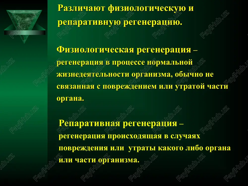 osteoklastov dlya rezorbtsii zatrudnen ili daje nevozmojen.  rezko zatrudnen tuda i dostup kletok – predshestvennikov dlya ix dalneyshey differentsirovki v osteoblasti.  predpolagaetsya, chto v etix mestax regeneratsiya kosti osushestvlyaetsya osteotsitami, kotorie sposobni kak k rastvoreniyu kostnogo matriksa, tak i ego sintezu. reparativnaya regeneratsiya kosti.  pri nanesenii kosti razlichnix travm, kotorie privodyat k narusheniyu ee tselostnosti, zapuskaetsya protsess reparativnoy regeneratsii .  protsess reparativnoy (vosstanovitelnoy) regeneratsii kosti takje sformirovalsya v protsesse evolyutsii i predstavlyaet iz sebya slojniy, zaprogrammirovanniy protsess, kotoriy, proydya cherez opredelennie stadii, privodit k samovosstanovleniyu narushennoy funktsii.  eto proisxodit putem obrazovaniya novoy kostnoy tkani v meste ee povrejdeniya pri perelome, s vosstanovleniem tselostnosti segmenta kosti putem srasheniya – konsolidatsii.  s prakticheskoy tochki zreniya mexanizm obrazovaniya kostnoy mozoli, predstavlyaet iz sebya slojniy protsess mestnix i obshix izmeneniy.  protsess reparativnoy regeneratsii kosti s obrazovaniem kostnoy mozoli mojno izuchat po dannim patomorfologicheskix, bioximicheskix, rentgenologicheskix, klinicheskix i …