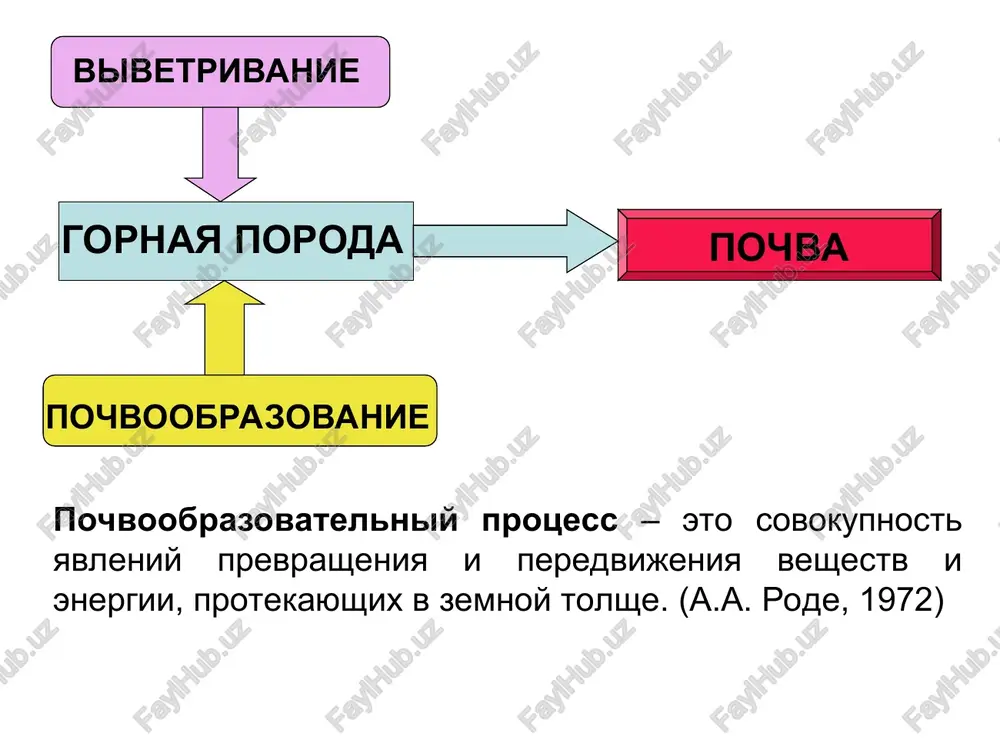 noe vliyanie na pochvoobrazovanie) materinskie porodi yavlyayutsya materialnoy osnovoy pochvi i peredayut ey svoy granulometricheskiy, mineralogicheskiy i ximicheskiy sostav, a takje fizicheskie svoystva zavisit biologicheskaya produktivnost, skorost razlojeniya rastitelnix ostatkov i obrazovaniya gumusa naibolee tsennie: karbonatnie lessi i lessovidnie suglinki, beskarbonatnie suglinki, allyuvialnie suglinki relef sovokupnost form zemnoy poverxnosti raznix masshtabov megarelef - krupnie nerovnosti zemnoy poverxnosti (materikovie massivi i okeanskie vpadini) mezorelef – srednie formi zemnoy poverxnosti (nebolshaya ploshad, izmenenie visot v 10-x m). skloni, lojbini, balki, terrasi mikrorelef - melkie formi relefa s kolebaniem do 1 m (blyudtsa, bugorki) makrorelef - krupnie formi zemnoy poverxnosti (bolshaya ploshad, izmenenie visot v sotnyax m, km ). gornie xrebti, ploskogorya, ravnini nanorelef (kochki, nerovnosti, borozdi, svyazannie s obrabotkoy pochvi) mega- i makroformi relefa (materiki, okeani, gornie sistemi) uchastvuyut v formirovanii vozdushnix mass i pereraspredelenii tepla i vlagi po zemnoy poverxnosti, opredelyaya klimaticheskie i pogodnie usloviya, a cherez nix - makroekosistemi s …