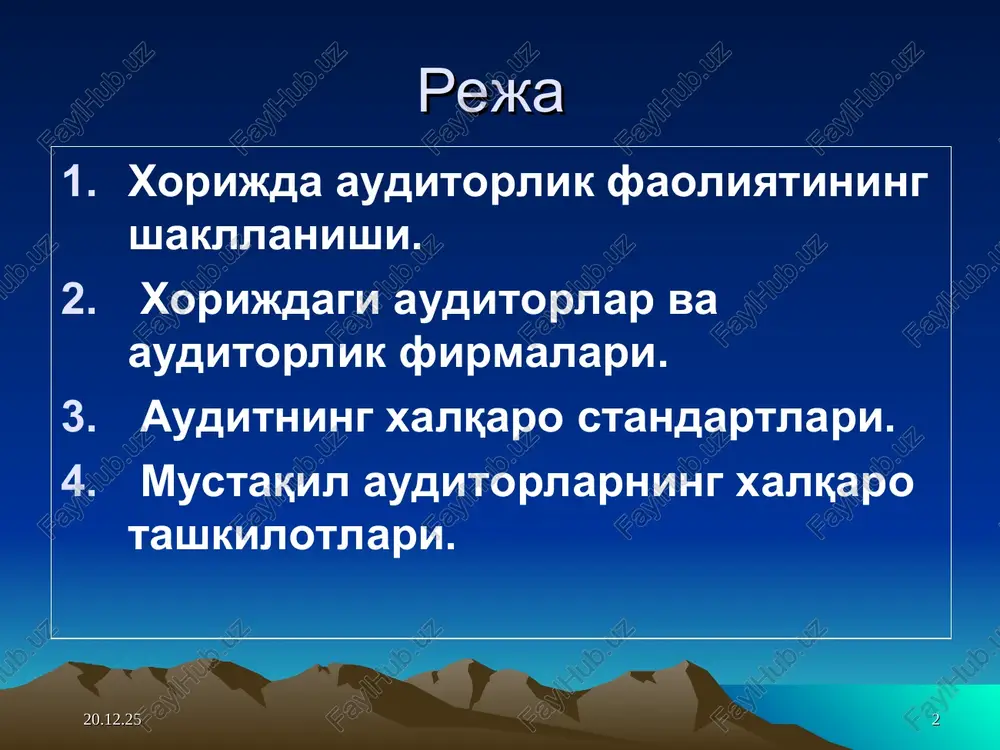 audit fanidan multimedia taqdimoti - Page 2