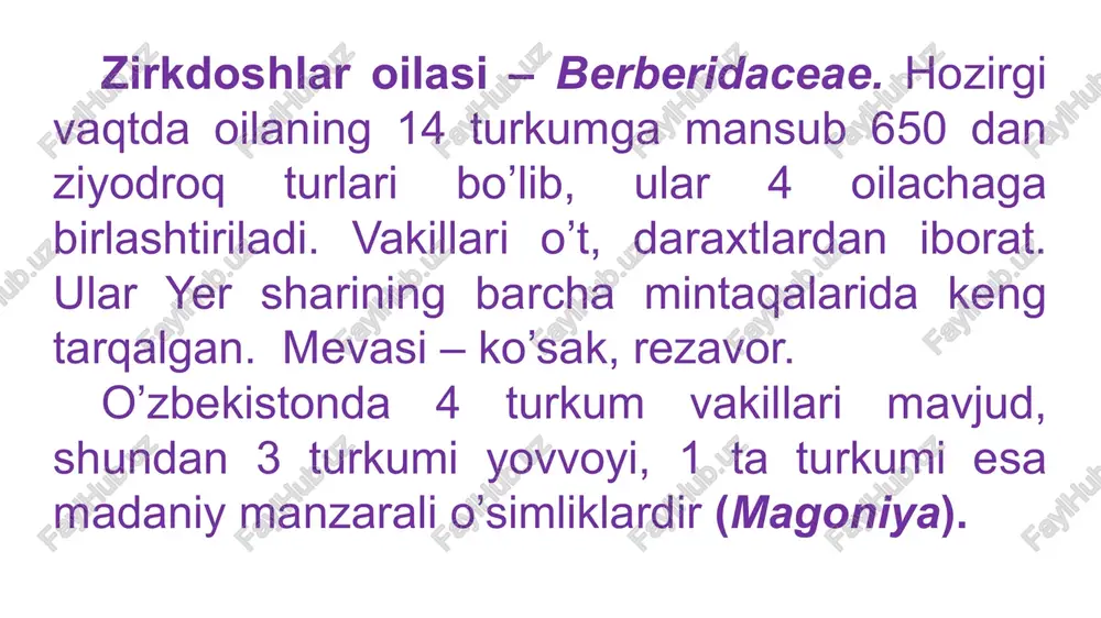 rining tishsiz, mevasining 7-8 mm uzunlikda va qizil rangli bo’lishi bilan oldingi turdan ajralib turadi. tog’ning o’rta qismidagi yonbag’irlarda va soylar bo’ylarida o’sadi. zirklar tarkibida berberin alkoloidi bo’lib, undan tibbiyotda foydalaniladi. shuningdek, zirk tarkibida saponinlar, organik kislotalar, qand va bo’yoq moddasi bo’ladi. qora zirk (berberis oblonga) dan ziravor sifatida foydalaniladi. magoniya - magonia turkumining ikkita madaniy turi bor oddiy magoniya (m. aquifolium) va yapon magoniyasi (m. japonica). bular murakkab toq patsimon bargli introduksiyalashtirilgan manzarali butalar. asosan ko’kalamzorlashtirishda foydalaniladi. ikkala tur murakkab barglaridagi bargchalar soni, barglarining kattaligi va chetidagi tishchalarining soniga ko’ra o’zaro farq qiladi. 1-rasm. berberidaceae: a-eversman yersovuni (leontice eversmanii); b-oddiy zirk (berberis vulgaris); 1-to’pgulli novdasi; 2-rezavor mevali novdasi; 3-guli (bo’ylama kesmasi); 4-changchi; 5-tojbarg nektardon bilan; 6-gul diagrammasi; 7-rezavor meva (bo’ylama kesmasi). berberis oblonga – qora zirk ,..berberis vulgaris – oddiy zirk berberis integerrima bunge. berberis integerrima bunge. leontice ewersmanni bunge- eversman yersovuni leontice incerta – havolaki yersovun leontice albertii …