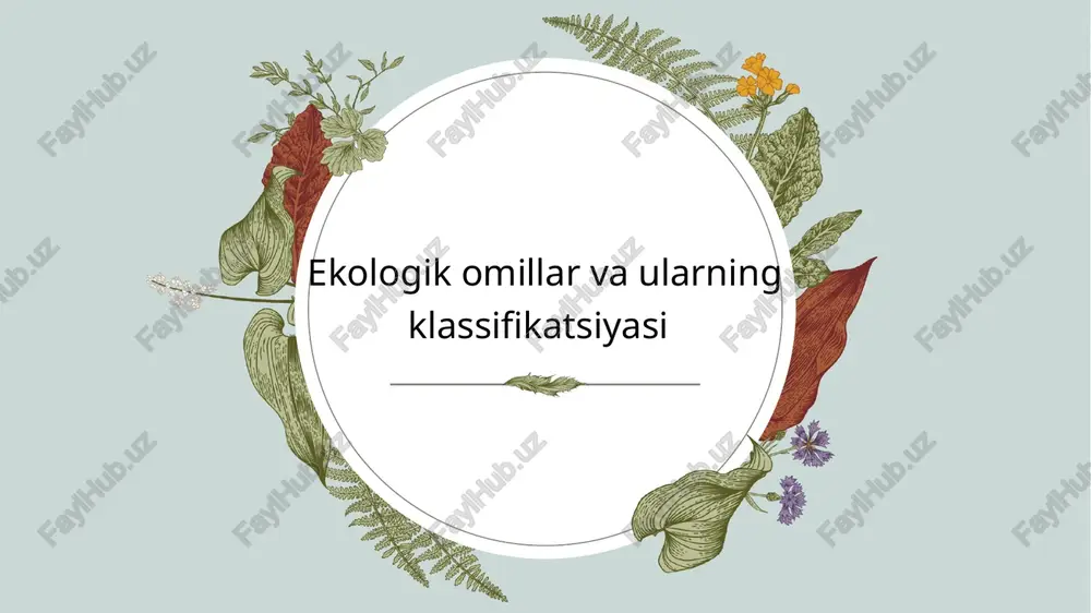 qqan holda (atmosferali, suvli, gemorfologik, fiziologik, populyasion, ekosistemali, biosferali); ta’sir darajasiga ko’ra (letal, ekstremal, cheklovchi, mutagen, konserogen va boshqalar); -vaqtga ko’ra (evalyusion, tarixiy, ta’sir kuluachi); -ta’sir harakteriga ko’ra (geofizik,geografik, biogen, biotik,evalyusion). hozirgi kunda ekologik omillarni uch guruhga ajratib o’rganish duyo mutahassislari orasida eng ko’p tarqalgan: abiotik omillar-notirk tabiat omillari bo’lib, fizik tabiatga ega(yorug’lik, issiqlik, havo(uni harakati va tarkibi)), namlik(har xil ko’rinishdagi yorug’liklar, havo namligi, tuproq namligi), radiasiya,…..) . abiotik omillarning organizmga bevosita yoki bilvosita ta’sir qilishi mumkin. misol uchun muhit tempiraturasi organizmga bevosta ta’sir qilib unda fiziologik jarayonlarni borishini aniqlaydi. shu bilan tempiratura omili organizmlarga bilvosta ta’sir qilishi mumkin ularni yashash muhit sharoitini o’zgartirishi bilan. organizmlarning yashash faoliyatiga ta’sir ko’rsatuvchi asosiy obiyetik omillarga iqlim omillarini kiritish mumkin (yorug’lik, harorat, havo va tuproq namligi, qor qalinligi, radiasiya,….. ).shulardan xarorat va yog’ingarchilik miqdori yer yuzi bo’ylab asosan yer usti ekosistemalarning joylanishini aniqlaydi. organizmlarning o’zgaruvchanligi va zonalar bo’yicha joylanishini asosiy shartlaridan biri muxitni …