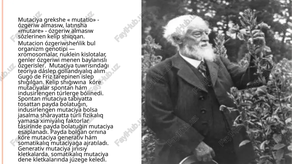 i túrge boʻlinedi. onıń bir túri dnkdaģi nukleotidler orın almasıwi menen harakterlenedi. dnkdaģi nukleotidlerdiń orın almasıwı eki túrli: a)bir purin azotlı tiykarınıń ekinshi purin azotlı tiykarı yamasa bir pirimidin azotlı tiykarınıń ekinshi pirimidin azotlı tiykarı menen almasıwı yaģnıy a g, ts almasıwına tranziciya deyiledi. b) purin tiykarınıń pirimidin tiykarı menen yamasa kerisinshe pirimidin tiykari purin menen almasıwına, yağnıy a t, a s, g s, g t transversiya dep ataladı. spontan tranziciyada vodorod baylanıslardı payda bolıwın ózgeredi. natijede adenin guanin qasiyetine guanin adeninniń, citozin timinniń, timin bolsa citozinniń qasiyetine iye boladı. bunday ózgerisler bromuratsil, 2 aminopurin, nitrat kislotasi sıyaqlı mutagenlar tásirinda júz beredi. transversiya bolsa ultrafiolet nurlar tásirinde amelga asadı. gen mutaciyasınıń ekinshi túrinde dnk daģı nukleotidlerdiń jaylasqan ornı ózgeredi. dnk shınjırındaģı nukleotidlerdiń jaylasqan ornınıń ózgeriwi mutagen faktorlar máselen,proflavin tásirinde júz beredi. bul mutagen tásirinde dnk shınjırınan bir-eki nukleotid tusip qalıwı yamasa onıń arasına kiriwi gúzetiledi. aqıbette dnk shınjırındaģı gen quramında …