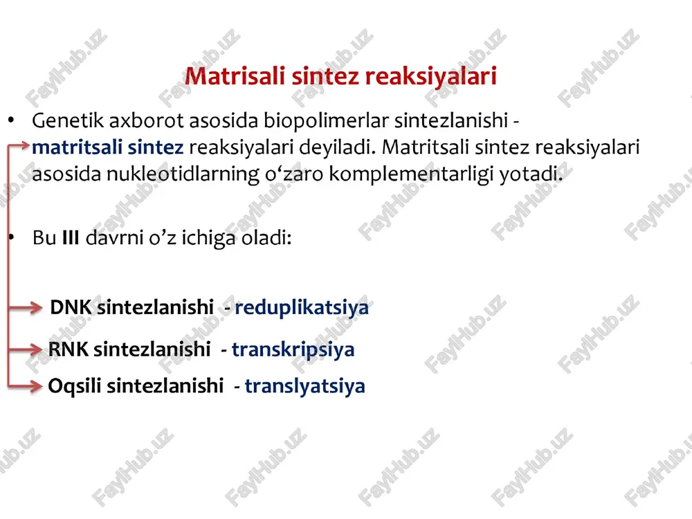 aydi. oqsillarning birlamchi strukturasi hagidagi genetik axborotlar dnk zanjirida nukleotidlar izchilligi tarzida birin-ketin joylashgan. dnkning bir polipeptid zanjiridagi aminokislotalar yoki r-rnk va t-rnk molekulalaridagi nukleotidlar izchilligini belgilaydigan bir qismi gen deb ataladi. oqsillar tarkibiga kiruvchi har bir aminokislotaning nuklein kislotalarda ketma-ket joylashgan uchta nukleotid (triplet, kodon) yordamida ifodalanishi genetik kod deyiladi. genetik kod 1962-yili amerika bioximiklari m. nirenberg va s. ochaolar tomonidan aniqlangan. genetik kod jadvali uuu ucu}) | uau ugu u uuc }phe| yee ee vact™ luect™ |e tue fleu uca uaa stop|uga stop) a uug ucc} |uag stop|ugg trp |g cuu) —|ccu) [cal yy, | csu u cuc |, .,, | ccc | 5,, | cac cgc | 4, | c cua cca cga a cug | ccg. cactsin |cec g auu} |acu) |aau agu u auc }ile | acc |, mac s48" | aac ts" | ¢ aua| | aca aaa tis [aga larg | a aug …