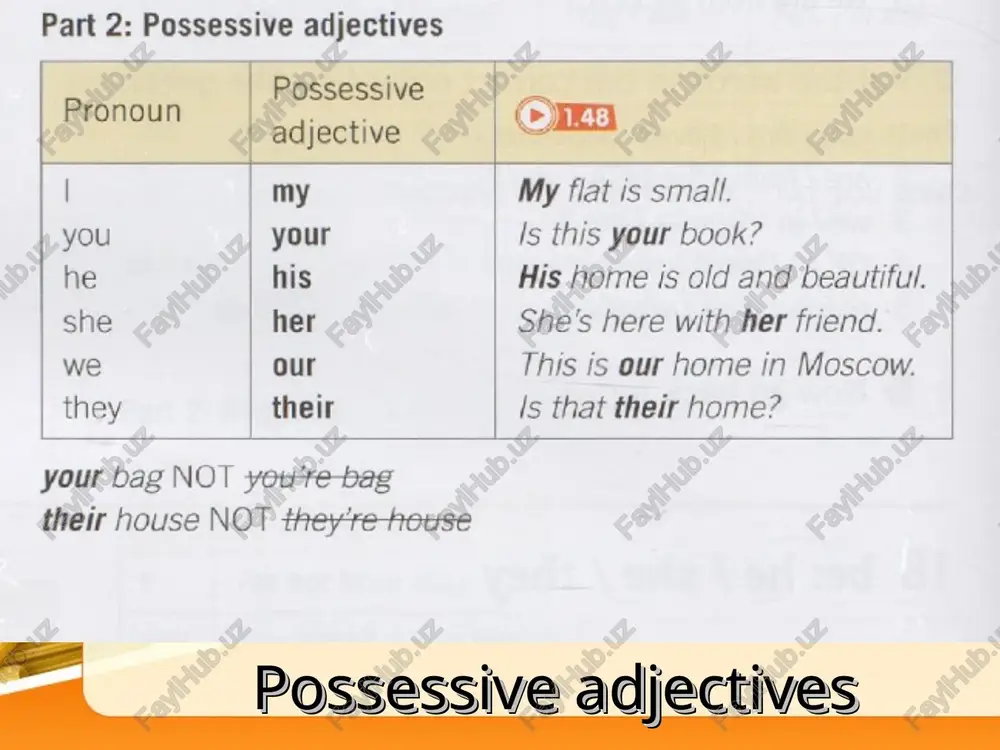 possessive adjectives - Page 2