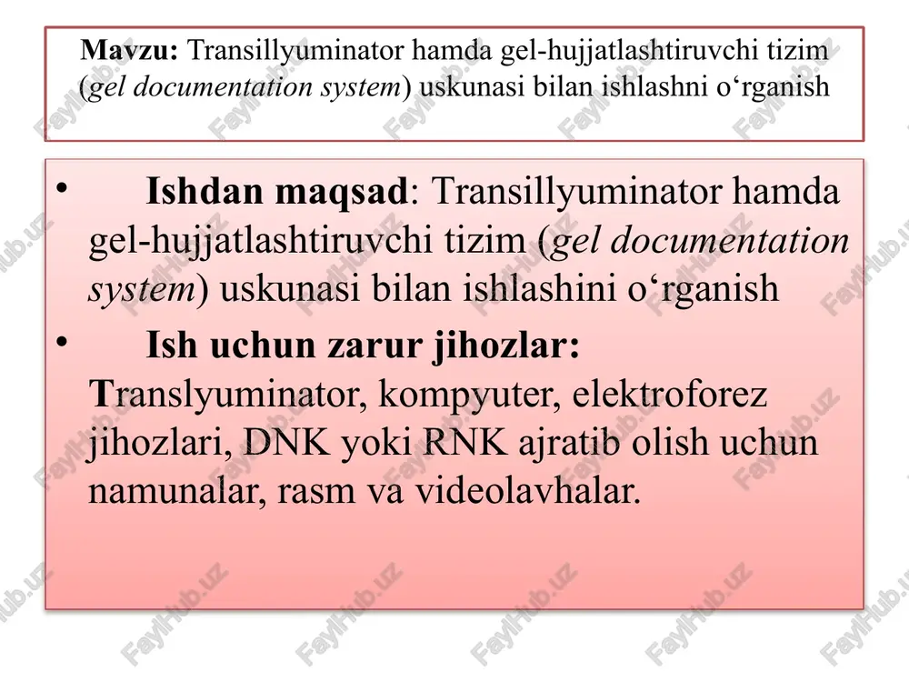 transillyuminator hamda gel-hujjatlashtiruvchi tizim (gel documentation system) - Page 2