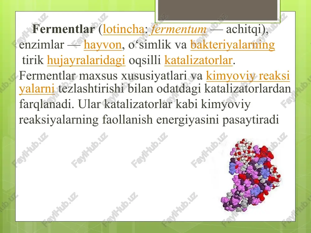 garishi mumkin. katalitik taʼsiri bir xil boʻlib, fizikkimyoviy xossasi bilan farqlanadigan fermentlar izofermentlar deyiladi. hujayrada fermentlar faolligini boshqarishda hujayra tarkibiy qismini tashkil etuvchi strukturalar — mitoxondriyalar, mikrosomalar va boshqa katta rol oʻynaydi. turli omillar (radiatsiya, kimyoviy moddalar, viruslar, bakteriyalar va boshqalar) tufayli fermentlarning optimal taʼsir etish sharoiti oʻzgarganda fermentlarning qondagi faolligi pasayishi kuzatilgan. uning bu xususiyatidan diagnostikada foydalaniladi. fermentlarning qon zardobidagi faolligini aniqlash usuli keng qoʻllaniladi. bu usul yordamida kasallikni boshlanish paytida aniqlash mumkin. fermentlar kasalliklarni aniqlashdagina emas, balki shu kasalliklarning ayrimlarini davolashda (enzimoterapiya) ham qoʻllaniladi. kishilarning amaliy hayotida, shuningdek, yengil, oziq-ovqat va kimyo sanoatlarida fermentlardan keng foydalaniladi. fermentlarning asosiy xususiyatlari: o'ziga xosligi: fermentning faqat o'ziga xos ozuqa muhitiga ta'sir qilish qobiliyati, masalan, lipazalar-yog'larga; katalitik samaradorligi: fermentativ oqsillarning biologik ta'sirlanishlarni yuz va ming baravar tezlashtirish qobiliyati; tartibga solish qobiliyati: har bir hujayradagi fermentlarning ishlab chiqarilishi va faolligi kimyoviy ta'sirlanishlardagi tutadigan o'rniga qarab,fermentlarning quyidagi turlari ajratiladi: ichki organlarning shikastlanganligini belgilab beruvchi,ichki …