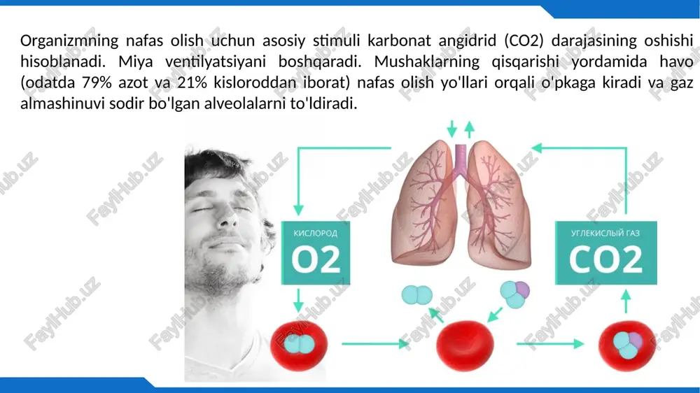 a davrida kapillyardagi qizil rang miqdorini o'lchaydi. monitor to`lqinlar orasidagi vaqtni hisoblab chiqadi va yurak urish tezligini daqiqada urishini ko'rsatadi. sistol va diastoladagi yorug'lik yutilish koeffitsienti asosida qiymatni ham hisoblab chiqadi va kislorod bilan to'yinganlikning(saturatsiya) periferik foizini (spo2)da ko'rsatadi. agar pulseoksimetr 92% dan past to'yinganlikni(saturatsiyani) ko'rsatsa, bu tashvishli holat hisoblanadi. uning 90% dan pastga tushishi gipoksemiyadan dalolat beradi. bu qon oqimidagi kislorod kontsentratsiyasi hujayralarga qaraganda pastroq ekanligini anglatadi. bu kislorodning hujayralardan chiqib, qon oqimiga qaytishini qiyinlashtiradi, bu esa to'qimalarning gipoksiyasiga va oxir-oqibat o'limga olib keladi. 94-99% to'yinganlik ideal hisoblanadi. diodlar nur detektor puls chastotasini grafik ko`rinishi 5. quvvat manbai indikatori 6. kislorod bilan to`yinganlik (foizlarda) spo2 7. puls chastotasi 8. puls to`lqini (pletizmogramma) to'yinganlik(saturatsiya) - qondagi kislorod bilan to'yinganlik o'lchovidir. to'yinganlik(saturatsiya) darajasining pasayishi o'pka muammolarini ko'rsatishi mumkin. bu, ayniqsa, yangi koronavirus infektsiyasi paydo bo'lganidan keyin dolzarb bo'lib qoldi. covid-19 ning asosiy asoratlaridan biri virusli pnevmoniyadir. pulseoksimetr qanday ishlaydi? pulseoksimetrning ishlash …