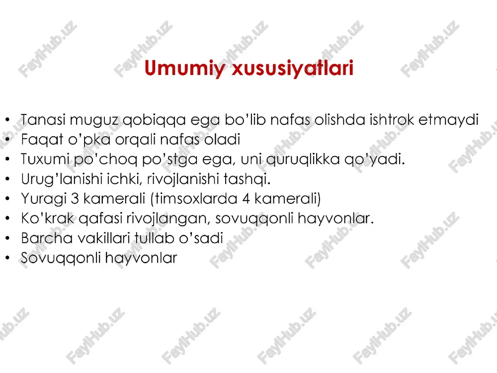 a kuzatiladi ko’payishi urug’lanishi ichki ya’ni spermotozoidi urg’ochining tuxum yo’liga tushadi, tuxum hujayrani urug’lantiradi. rivojlanishi tashqi ya’ni tirik bola tug’may ko’payadi. urug’langan tuxumlari po’chog po’st hosil qilib tashqariga chigariladi, embrion tuxumda rivojlanadi. kaltakesak 5 dan 15 tagacha tuxum qo’yadi. tuxumlarida sariqlik ko’p. demak tuxumidan lichinka chiqmaydi. kaltakesaklar oilasi = vakillari : ¢ dasht agamasi ¢ turkiston gekkoni ¢ ildam kaltakesak ¢ urchuqsimon kaltakesak ¢ sariq ilon ¢ kulrang echkiemar — —ssariq ilon kaltakesaklarning xaraktelari ¢ gekkonlar - kuunduzi devor yoriglariga yashirinib oladi. - tunda ularning ohista chirqillashi eshitiladi. - hasharotlar va o'rgimchaklar bilan oziqlanadi. ¢ echki emar — resoublikamizda uchraydigan yirik kaltakesak ¢ urchugqsimon kaltakesak, sariq ilon - oyoasiz kaltakesaklar tangachalilar turkumi kaltakesaklar oilasi oyoglariga tayangan holda harakatlanadi parcha — parcha bo’lib tullaydi uchinchi pirpiraydigan qovoqqa ega yaxshi eshitadi. llonlar oilasi qovurg’alariga tayangan holda harakatlanadi yaxlit paypoq singari tullaydi qovogqlari soat oynasi kabi, yumilmaydi havoda tarqalgan tovushni eshitmaydi llonlar yugori …