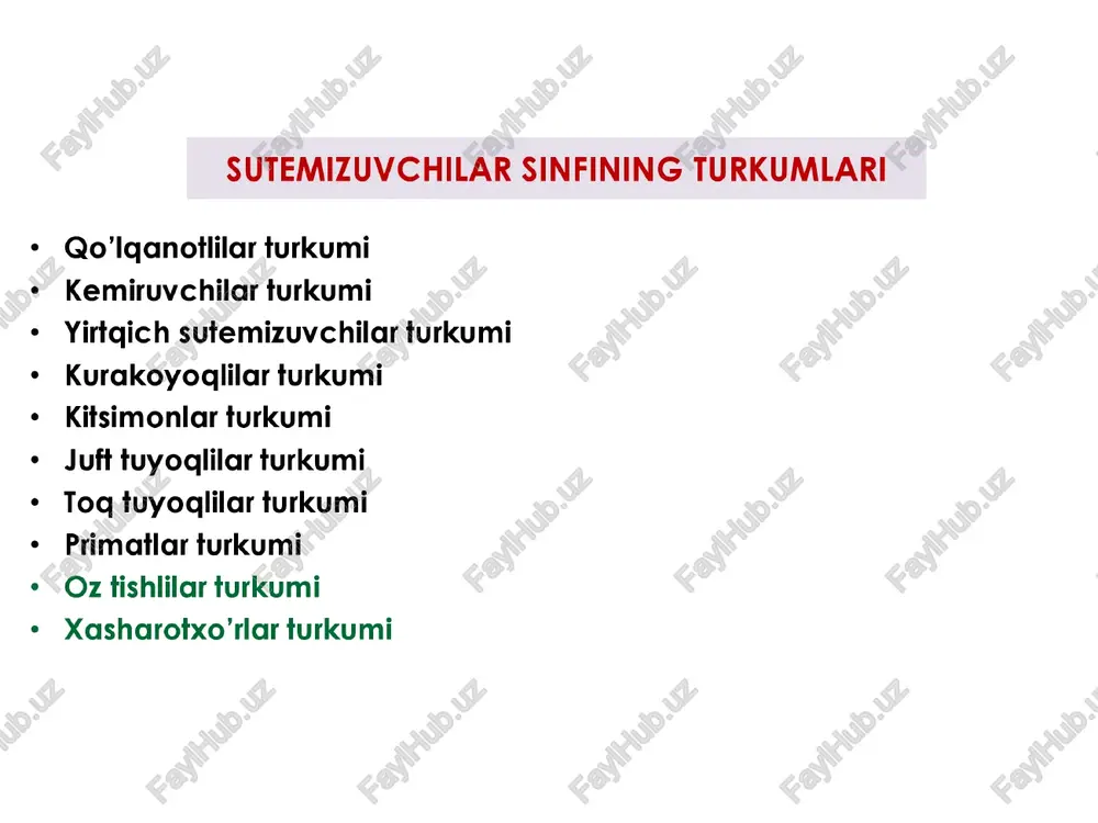 ri bo‘lmaydi. kurak tishlari esa yirilk va o'tkir bo ‘ladi. ularning kurak tishlari doimo yedirilib turadi, lekin o‘tmaslashmaydi. chunki kurak tishlarining orga tomonida emali bo ‘lmaydi. turlari: >» yumrongoziq; tyin; ondatra > nutriya; yumrongozig; sug’ ur > tolay tovushgoni; quyon; jayra > sichqon; kalamush 106-rasm. kemiruvchi sutemizuvchilar: 1 — uy sichqoni; 2 — ko‘k sug‘ur; 3 — sariq yumrongoziq; 4 — tolay tovushgoni; 5 — kulrang kalamush; 6 — ondatra ahamiyati turarjoylar yaqinida sichqonlar va kalamushlar, cho'llarda yumrongoziglar ko‘p uchraydi. yumrongoziqlar koloniya bo'lib, inlarda yashaydi. tog‘ etaklarida va cho'llarda yirik kemiruvchilardan biri — jayra yashaydi. uning tanasi uzun ninalar bilan qoplangan. kalamushlar o‘lat kasalligini ham tarqatishi mumkin. ondatra, nutriya, sug‘ur, yumronqoziq va tyinlar mo'yna uchun ovianadi. ondatra va nutriya gimmatli mo'yna beradi. ularning vatani amerika hisoblanadi. respuplikamizda ular maxsus ko’paytiriladi. tog'larda uchraydigan ko’k sug’ur - terisi va yog’i yugori baholanadi. ko’k sug’ur hozirda “qizil kitobgga kiritilgan” yirtqichlar turkumi v l …