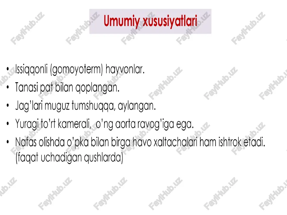 armoglar to’sh suyagining nn ___ ko'krak-toj kengayishidan hosil bo’lgan faqat uchadigan qushlarda bo’ladi muskullari katta ko’krak muskullari (2 ta) eng katta muskullari bo'lib ularning massasi golgan barcha muskullarining massasiga teng. birinchi uchi - yelka suyagiga ko’krak muskullarining uchganida — 550 martta o'ng aortaravog'i 10 1s katta doira chap gorincha™}o’ng aorta™> arteriya > to’qima organlar =} kovak vena = o’ng bo’lmacha kovak vena kichik doira o’ng gorincha™}o’pka arteriyasi> o’pka > o’pka vena = chap bo’imacha organlar o'pka venasi organlarga boruvchi arteriya sezgi organlari ¢ ko’zlari odamnikiga nisbatan 100 martia yaxshi ko’radi ¢ hid bilish a’zosi kuchsiz rivolangan. ¢ yaxshi eshitadi, quloqlari 3 gismdan iborat: tashqi, o’rta, ichki qulog. nerv sistemasi ik bor miyyachasida burmalar paydo bo'lgan hayvonlar. ularning xilma-xil murakkab harakatlari miyacha bilan bog'liq qushlarda instinklar yaxshi rivojlangan. ular oldingi miyya bilan bog’ liq qarg‘a, mayna, gorayalog va, ayniqsa, to'tilar ayrim so‘zlar va hatto iboralarni eslab qolib, takrorlashi mumkin. 1 2 …