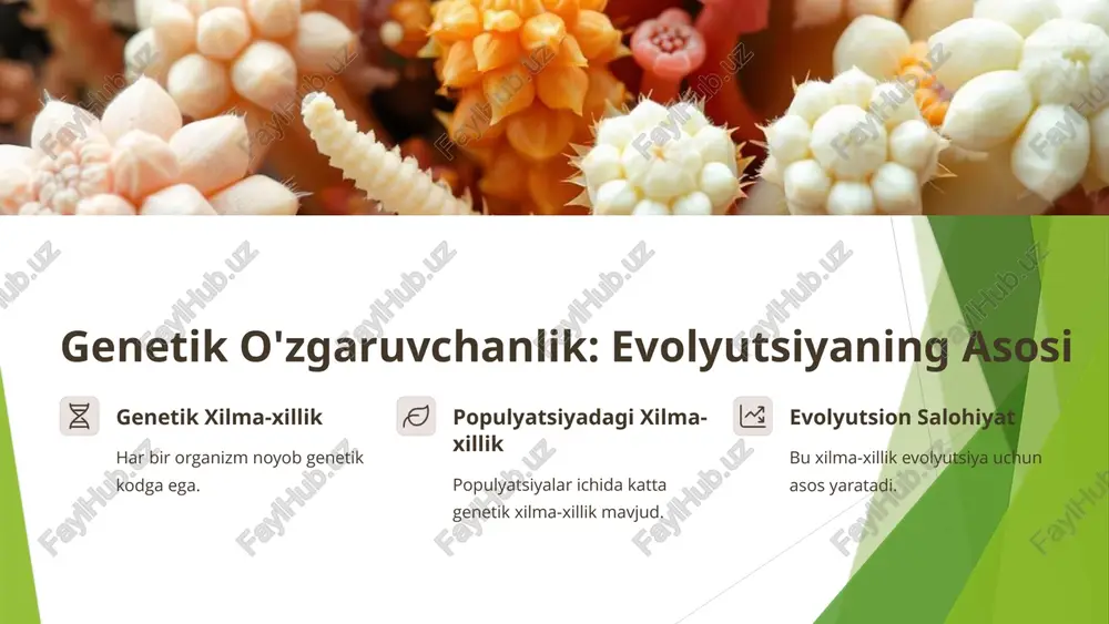 ndislik kasalliklarni davolash, qishloq xo'jaligini yaxshilash. bioinformatika genetik ma'lumotlarni tahlil qilish va modellashtirish. populyatsion genetika turlar xilma-xilligini saqlash, evolyutsion jarayonlarni tushunish. 8 etiboringiz uchun rahmat image1.png image2.png image3.png image4.png image5.png image6.png image7.png image8.png image9.png image10.png image11.png image12.png image13.png image14.png image15.png image16.png image17.png ge 7 hs finnem xs colis "1 ” op gy — p