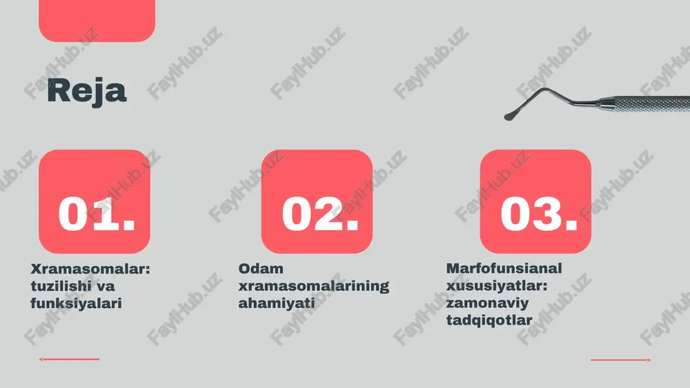 utsiyaga ta'siri xramasomalar o'zgarishi yangi turlarning paydo bo'lishiga olib keladi. bu jarayon tabiat tanlovi orqali amalga oshadi, bunda moslashgan xususiyatlar ko'proq avlodga o'tadi. xulosa xramasomalar va ularning o'zgarishlari genetik variatsiya va evolyutsiyaning asosi bo'lib, biologik xilma-xillik va organizmlarning moslashuvchanligini ta'minlaydi. xramasomalar va genetik ma'lumotlar odam xramasomalari genetik material bilan yaqin aloqada bo'lib, ular genlar to'plamini tashkil etadi. har bir xramasoma genlarni o'z ichiga oladi, bu esa organizmning irsiy xususiyatlarini belgilaydi. genetik ma'lumotlar xramasomalar orqali saqlanadi va avloddan-avlodga o'tadi. xramasomalar genetik o'zgarishlarga sabab bo'lishi mumkin. mutatsiyalar, ya'ni genetik materialning o'zgarishlari, atrof-muhit ta'siri yoki xato replikatsiya jarayonlari natijasida yuzaga kelishi mumkin. bu o'zgarishlar yangi xususiyatlarning paydo bo'lishiga olib kelishi mumkin. odam xramasomalarining genetik material bilan aloqasi xramasomalar va genetik o'zgarishlar xramasomalar va muhim biologik jarayonlar odam xramasomalari reproduktiv jarayonlarda muhim rol o'ynaydi, chunki ular genetik materialni avlodlarga o'tkazishda ishtirok etadilar. ushbu jarayonlar mitoz va meyoz orqali amalga oshiriladi. mitos jarayonida hujayralar bir …