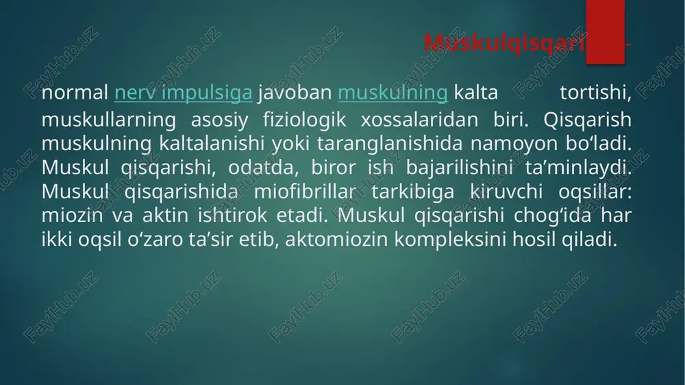 masi, koʻp yadrolari va organoidlari bor. muskul tolasining qisqaruvchi tuzilmasi — uzun ipga oʻxshaydigan miofibrillar tolaning bir uchidan ikkinchi uchigacha davom ladi. koʻndalan gtargʻil muskullarga skelet muskullari va yurak muskuli (miokard) kiradi. koʻndalangtargʻil muskullar toʻqimasi kishining ixtiyoriga boʻysunadi. har qaysi muskul yumaloq yoki yassi pay vositasida bir suyakdan boshlanib, ikkinchisiga yopishadi. muskul boʻgʻim yaqinida boʻlsa, albatta, shu boʻgʻimdan oʻtib, uning harakatlanishini taʼminlaydi. muskullar shakliga koʻra uzun, qisqa, yumaloq, yalpoq boʻlib, joylashishiga qarab yuza, chuqur, oraliq guruhlarga boʻlinadi. bajaradigan vazi-fasiga koʻra qisuvchi, kengaytiruvchi, koʻtaruvchi, tushiruvchi, yozuvchi, boʻquvchi, chaynovchi va h. k. muskullarga ajratiladi. uzun yoki duksimon muskulning yoʻgʻonroq qismi qorni, oxirgi pay qismlari boshi va dumi deb ataladi. baʼzi muskullarning bir emas, balki 2—3 va hatto 4 ta boshi bor (masalan yelkaning ikki boshli, sonning toʻrt boshli muskuli). muskullarning qoʻshimcha apparatiga fassiyalar, fibrozsuyak kanallari, sinovi-al qin va xaltalar kiradi. muskullarda kon tomirlar koʻp, ular kon bilan moʻl taʼminlangan, limfa tomirlari yaxshi …