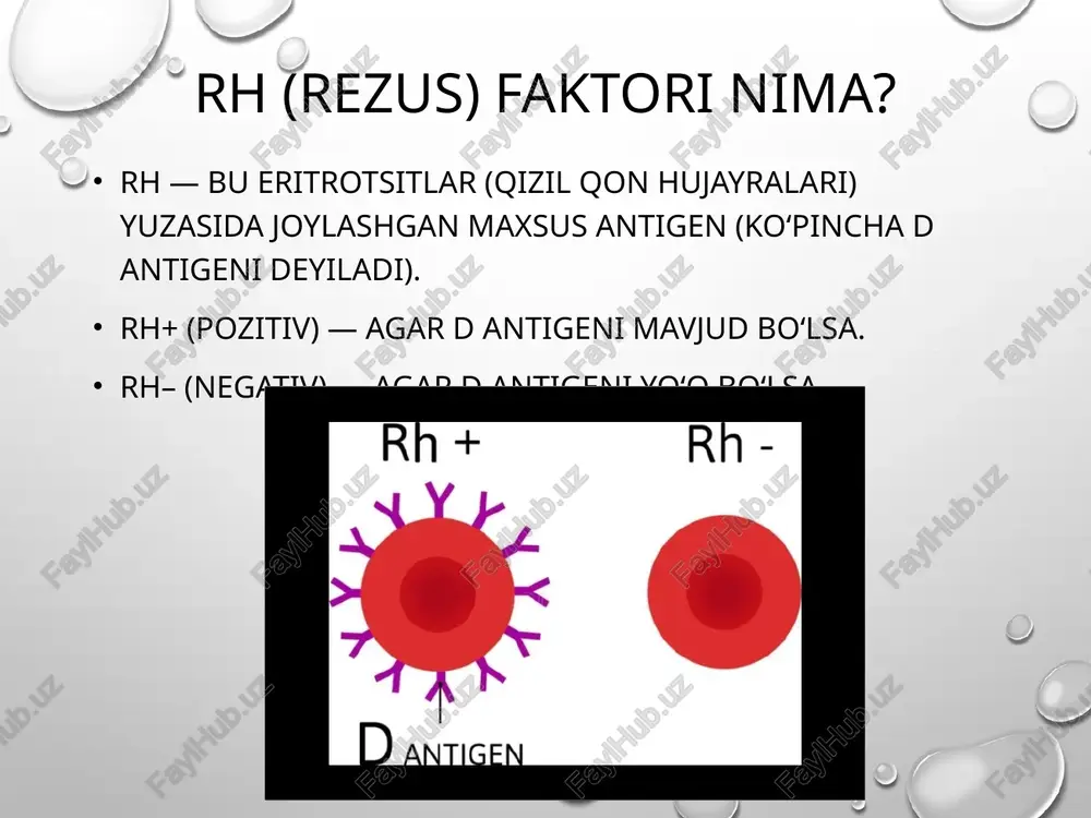 agen b schsen h-positve man rhinegativewoman _—rh-posiive fetus antigens mother willproduce _inthenext rh-postive with rh-positivefetus __canenterthe mother’s ‘antirh antibodies pregnancy, mother’s anti-rh blood during delivery ‘antibodies wil attack fetal red blood cells rh-negative woman y \. 4» rh-positive foetus a maternal isoimmunisation ® \ hydrops fetalis swollen: liver ‘severe abdominal swelling /docprops/thumbnail.jpeg mavzu: akusherlikda rezus-omil va uning patogenezi ea