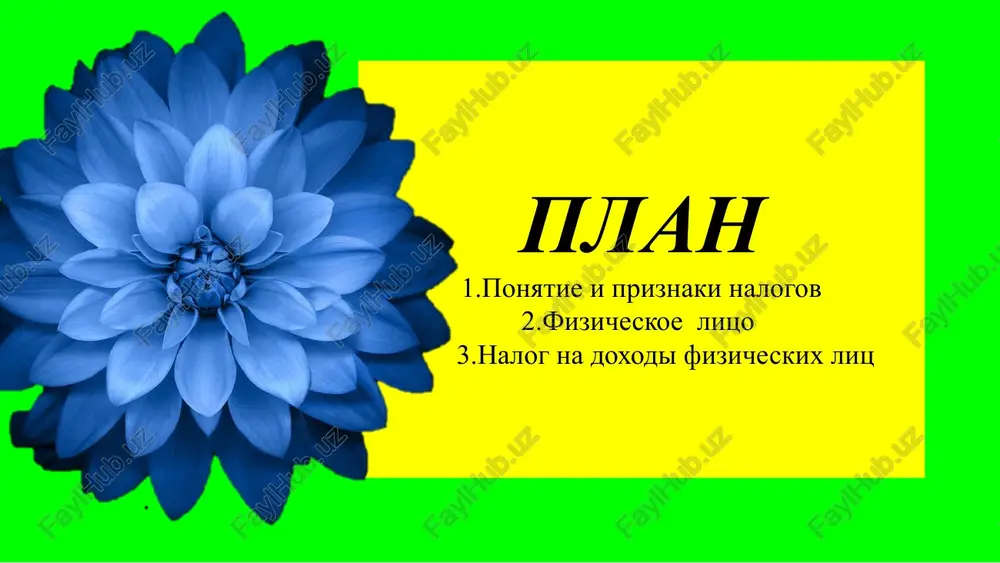 tavkam v respublike uzbekistan. statya 47. ob'ekt nalogooblojeniya ob'ektom nalogooblojeniya yavlyaetsya sovokupniy godovoy doxod, opredelyaemiy v sootvetstvii s nastoyashim kodeksom. glava 13. sovokupniy godovoy doxod fizicheskix lits statya 48. sostav sovokupnogo godovogo doxoda v sovokupniy godovoy doxod fizicheskix lits vklyuchayutsya denejnie ili drugie sredstva, podlejashie polucheniyu (poluchennie) nalogoplatelshikom, libo poluchennie im bezvozmezdno, vklyuchaya: doxodi, poluchaemie v vide oplati truda; imushestvenniy doxod fizicheskix lits; doxod ot predprinimatelskoy deyatelnosti fizicheskix lits. 16 statya 50. imushestvenniy doxod fizicheskix lits k imushestvennomu doxodu fizicheskix lits otnosyatsya doxodi po poluchennim protsentam, dividendam, ot sdachi imushestva v arendu. 17 statya 51. doxod ot predprinimatelskoy deyatelnosti fizicheskix lits k doxodu ot predprinimatelskoy deyatelnosti fizicheskix lits otnosyatsya vse postupleniya ot realizatsii tovarov (rabot, uslug), drugoy ne zapreshennoy zakonodatelstvom deyatelnosti, osushestvlyaemoy v individualnom poryadke, za vichetom rasxodov, obyazatelnix platejey, zatrat i otchisleniy, svyazannix s izvlecheniem ukazannogo doxoda. 18 glava 16. lgoti po nalogu na doxodi fizicheskix lits statya 58. …