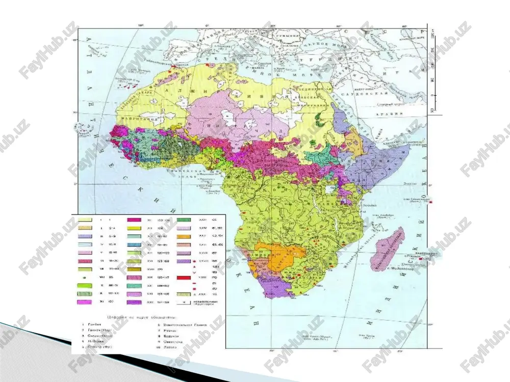 ldinga cho’zilganligi , qalin labi , keng va puchuq burunli ,ko’sa soqol va kam tukli belgilari bilan ajralib turadilar . jismoniy tuzilishi jihatidan afrikaning eng janubiy qismida yashayotgan bushmenlar va gottentotlar maxsus antropologik tipni tashkil qiladilar . irqiy tavsiflanishi ular negroid belgilaridan tashqari ba’zi mongoloid belgilari ( keng yuzli , sarg’ish tanli ) va steatopigiya (sag’riga nisbatan ko’proq yog’ to’planib osilganroq) ko’rinishi , badan va yuzga erta ajin tushishi bilan boshqa irqlardan ajralib turadilar . madagaskar aholisi ham negroid va mongoloid irqlari aralashmasidan paydo bo’lgan maxsus tiplardan iborat . obrazets teksta vtoroy uroven tretiy uroven chetvertiy uroven pyatiy uroven zulus xalqi afrika aholisining til klassifikatsiyasi rang- barangdir . masalan , germaniyalik olim meynxof 20-30 yillarda faqat bantularda 184 til va lahjalarni o’rgangan . belgiyalik van byulk esa 50- yillar zairda 518 ta mustaqil til bo’lganini ta’kidlaydi . afrika tillari to’rtta katta til oilasi:semit-xamit yoki afrosiyo , niger-kordofa , nil-saxara va …