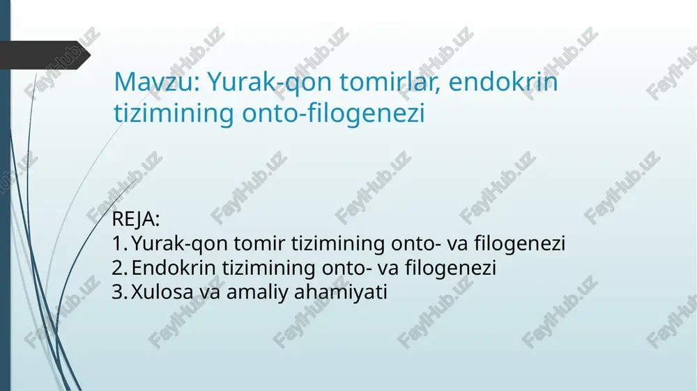 a: yurak 3 kamerali, ammo qorinchadagi o‘rta devor (septum) qisman rivojlangan. 🔹 qushlar va sutemizuvchilarda: to‘liq 4 kamerali yurak. arterial va venoz qon aralashmaydi. yuqori darajadagi modda almashinuvi, issiqlikni saqlash imkoniyati. tibbiyotdagi amaliy ahamiyati tug‘ma yurak nuqsonlari (masalan, atrial septal defekt) — embriogenezning buzilishi oqibati. evolyutsion tahlil asosida ba’zi yurak tuzilmalarining qoliplari yoki o‘zgarishlarini tushunish mumkin. yurak jarrohligida va prenatal diagnostikada muhim rol o‘ynaydi. endokrin tizimining ontogenezi ontogenez — bu organizmning urug‘lanishdan to‘liq shakllangan holatgacha bo‘lgan individual rivojlanishidir. endokrin bezlar bu jarayonda embrional qatlamlardan rivojlanadi: ektoderma, mezoderm va endoderma. har bir bez o‘z rivojlanish manbasiga ega: 1. hipofiz bezi old qismi (adenogipofiz) – ektodermdan (rathke xaltachasi) rivojlanadi. orqa qismi (neyrogipofiz) – bosh miya tubidan hosil bo‘ladi (neyroektoderm). 2. qalqonsimon bez endodermdan rivojlanadi. embrionning bo‘yin old qismida hosil bo‘ladi va gormonlar ishlab chiqarishni homilalikning 10–12-haftasida boshlaydi. 3. paratiroid bezlari qalqonsimon bez yonida joylashgan, 3- va 4-faringeal qoplamalardan hosil bo‘ladi. kalsiy almashinuvini …