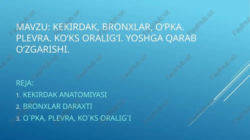 ferior dexter/sinister tracheae paranasal sinuses — nose nasal cavity + nasal conchae nasal vestibule 5 pharynx larynx— epiglottis thyroid cartilage cricoid cartilage + vocal folds trachea frontal i. sphenoid carina of trachea . ‘main bronchi lingular division bronchi right lung — superior lobe horizontal fissure oblique fissure 4 middle lobe + inferior lobe diaphragm capillary beds | connective _ tissue alveolar _| sacs alveolar duct/* mucous | gland mucosal _| ining oral cavity esophagus’ t w \ superior | inferior middle ‘— lobarbronchus — pulmonary artery pulmonary vein tracheal and bronchi rings alveoli atrium left lung superior lobe apex of left lung oblique fissure cardiac notch lingula of lung inferior lobe gee bes bme bim. be 5 be b? (posterior) bow pee pune pee be ‘b® pm! be be bronquio lobular medio, b* (lateral) bo bo ‘is bronquio by (basal medial) ae be b™ be b* (basal lateral) pues bm …