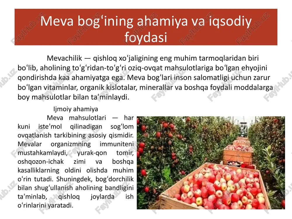 uzilishi) sharoitlarini chuqur o‘rganish lozim joy tanlashda e’tibor beriladigan omillar a) iqlim sharoiti har bir meva turi o‘ziga xos iqlimni talab qiladi. olma, nok, gilos kabi daraxtlar sovuqqa chidamli bo‘lsa, anor, o‘rik, shaftoli, uzum kabi turlar iliq iqlimni xush ko‘radi. shu sababli joy tanlashda qishning sovuqligi, yozning issiqligi, yog‘in miqdori va shamol yo‘nalishi e’tiborga olinadi. b) tuproq sharoiti hosildor meva bog‘i uchun unumdor, yumshoq va namni yaxshi ushlab turuvchi tuproq zarur. qumloq, qumoq va qora tuproqlar eng yaxshi hisoblanadi. sho‘rlangan yoki botqoq joylarda esa meva daraxtlari yaxshi o‘smaydi. c) yer sathi (relef) yerning notekis bo‘lishi suvning to‘planishiga yoki oqib ketishiga sabab bo‘ladi. shuning uchun tekis yoki biroz nishab joylar tanlanadi. qiyalik joylarda terrasa usulida bog‘ barpo etiladi. joyni tayyorlash ishlari a) tuproqni chuqur haydash. ko‘chat ekishdan oldin yer 40–60 sm chuqurlikkacha haydaladi. bu ish daraxt ildizining chuqur o‘sishi uchun qulay sharoit yaratadi. b) o‘g‘itlash. bog‘ barpo etishdan oldin tuproqqa organik …