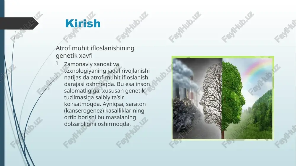 iyatlarga ega bo‘ladi kanserogenezning genetik asoslari muhitdagi kanserogenlar va saraton tamaki tutuni – o‘pka saratoni. uv nurlanishi – teri saratoni. asbest – plevra (o‘pka pardasi) saratoni. aflatoksin – jigar saratoni. radiatsiya – leykemiya, qalqonsimon bez saratoni. bu omillar uzoq muddatli ta’sirda genetik o‘zgarishlarga olib keladi. onkogenlar: normal bo‘lishda o‘sishni boshqaradi, mutatsiyaga uchraganda o‘sishni haddan ortiq rag‘batlantiradi. tumor suppressor genlar (masalan, p53): hujayra bo‘linishini nazorat qiladi, faoliyati yo‘qolsa – saraton rivojlanadi. dnk tuzatish genlari: dnkdagi xatoliklarni tuzatadi, ular ishdan chiqsa – mutatsiyalar yig‘ilib boradi. profilaktika va nazorat ekologik muhofaza choralari: chiqindilarni kamaytirish, filtratsiya tizimlari. sog‘lom turmush tarzini yuritish. radiatsion xavfsizlik qoidalariga amal qilish. genetik skrining va erta tashxis. kanserogen ta’sirga ega mahsulotlardan saqlanish. xulosa atrof-muhitdagi ifloslanishlar inson salomatligi, ayniqsa genetik tuzilmasi uchun katta xavf tug‘diradi. kanserogenez bu xavfning eng jiddiy ko‘rinishidir. shu sababli, ekologik muhitni sog‘lomlashtirish va genetik xavflarning oldini olish – jamiyatning ustuvor vazifasidir. dnt 816u guruh talabasi: abdusaydova roza …