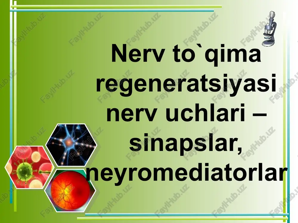 nerv to’qimasi ikkita katta tarkibdan: o’ziga xos vazifani bajaruvchi nerv hujayralaridan (1) va to’qimada tayanch, trofik, sekretor, himoya vazifalarini bajaruvchi bir necha xil neyrogliyadan (2) tashkil topgan. bular hammasi bir butun holda organizmda morfologik va funksional jihatdan yaxlit nerv sistemasini tashkil etadi. nerv hujayrasi (neyrosit yoki neyron) nihoyatda ixtisoslashgan murakkab morfologik tuzilishga ega bo’lib, har xil tashqi va ichki ta'sirni qabul qilib, uni impulsga aylantirish va hujayra o’simtalari orqali uzatib berish xususiyatiga ega. neyron sitoplazma va yadro qismlarini tashkil etuvchi tanasi, ya'ni perikariondan hamda bir nechta o’simtalardan tarkib topgan. ayniqsa uning o’simtalari juda ko’p bo’lib, ulardan bittasi uzun bo’ladi, mana shu uzuni akson yoki neyrit deyiladi. neyrit orqali hujayra tanasidan boshqa nerv o’simtasiga yoki harakat organlariga impuls o’tkaziladi. aksonning uzunligi bir nechp mikrondan 1-1,5 metrgacha bo’lishi mumkin. uning yo’on-ingichkaligi butun uzunligi bo’ylab bir xil. ayrim vaqtlarda u yon tomonlarga o’simtalar chiqaradi, ularga yon kollateral o’simtalar deyiladi. neyronning qolgan qsimtalari kalta …