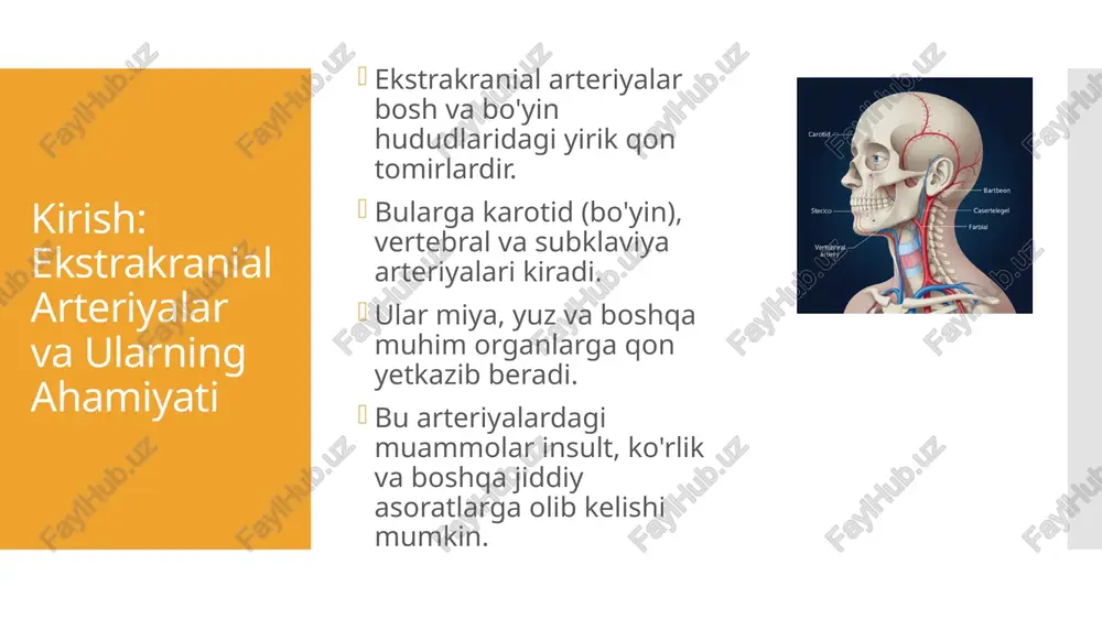 eks skanning kt angiografiya (kta) mrt angiografiya (mra) invaziv usul: konvensiyonal angiografiya (kta/dsa) doppler usg va kt angiografiya doppler ultratovush (usg) bilan dupleks skanning: arteriya tuzilishi va qon oqimi tezligini baholash uchun keng qo'llaniladi. aniq, arzon va xavfsiz usul. kt angiografiya (kta): kontrast modda yordamida arteriyalarning batafsil 3d tasvirini yaratadi. torayishlar, blyushkalarning hajmi va joylashuvini aniqlashda yuqori aniqlik. mrt angiografiya va konvensiyonal angiografiya mrt angiografiya (mra): magnit maydon va radio to'lqinlaridan foydalanadi, radiatsiya yo'q. blyushkaning tarkibiy qismlarini (masalan, yallig'lanishni) baholash imkoniyati. konvensiyonal angiografiya (dsa): invaziv usul, kateter orqali kontrast modda yuboriladi. eng aniq usul, ayniqsa operatsiya rejalashtirilganda yoki murakkab holatlarda qo'llaniladi. operatsiyaga ko'rsatmalar karotid arteriya stenozisi (cas): semptomatik bemorlarda (o'tkinchi ishemik hujum, insult): 50% dan ortiq torayish. semptomatsiz bemorlarda: ko'pincha 70% dan ortiq torayish (ayrim hollarda kamroq, xavf omillari hisobga olinadi). boshqa ekstrakranial arteriyalar: anevrizmalar (joylashuvi va o'lchamiga qarab). dissectionlar (qon oqimi buzilganda yoki progredient holatlarda). yallig'lanishlar va tromboemboliya xavfi …