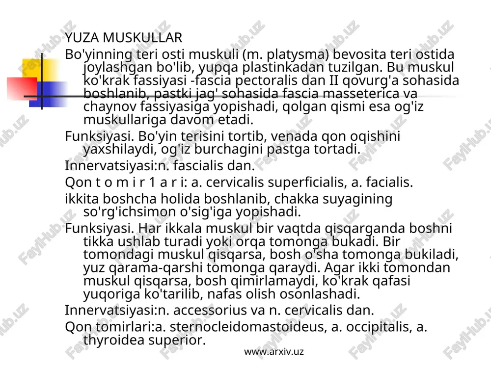 may turganda til osti suyagi va hiqildoqni ko'taradi. til osti suyagi va hiqildoq qimirlamaganda pastki jag'ni pastga tushiradi. www.arxiv.uz www.arxiv.uz innervatsiyasi: n. amylohyoideus (n. alveolaris inferior tarmog'i) dan. qontomirlariia. sublingualis, a. submentalis. ikki qorinli muskul (m. digastricus) ning oldingi qorinchasi (venter anterior) pastki jag' suya'gining ichki yuzasida fossa digastrica dan, orqa qorinchasi venter posterior chakka suyagining so'rg'ichsimon o'sig'i o'ymasi - incisura mastoidea dan boshlanib, o'zaro pay orqali birlashadi. ikki qorinli muskul shu pay vositasida til osti suyagiga yopishadi. innervatsiyasi: orqa qorinchasi - r. digastricus n. facialis dan, old qorinchasi n.mylohyoideus, n. alveolaris interior tarmog'idan. qon tomirlari: old qorinchasi a. submentalis, orqa qorinchasi a. occipitalis. bigizsimon o'siq-til osti muskuli (m. stylohyoideus) chakka suyagining bigizsimon o'sig'i (processus stilodeus) dan boshlanib, til osti suyagi tanasiga yopishadi. www.arxiv.uz www.arxiv.uz bo'yinning chuqur muskullam oldingi narvonsimon muskul (m. scalenus anterior) ih-vi bo'yin umurtqalari ko'ndalang o'siqlaridan boshlanib, uning qovurg'a tepa yuzasidagi egatcha (a. subclaviae) old tomonida shu …