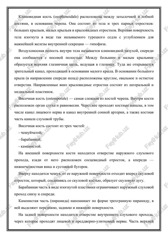 klinovidnaya kost (ossphenoidale) raspolojena mejdu zatilochnoy i lobnoy kostyami, v osnovanii cherepa. ona sostoit iz tela i trex parnix otrostkov: bolshix krilev, malix krilev i krilovidnix otrostkov. verxnyaya poverxnost tela izognuta v vide tak nazivaemogo turetskogo sedla s uglubleniem dlya vajneyshey jelezi vnutrenney sekretsii — gipofiza. vozduxonosnaya polost vnutri tela nazivaetsya klinovidnoy pazuxoy, speredi ona soobshaetsya s nosovoy polostyu. mejdu bolshim i malim krilyami obrazuetsya verxnyaya glaznichnaya shel, vedushaya v glaznitsu. tuda je otkrivaetsya zritelniy kanal, proxodyashiy v osnovanii malogo krila. v osnovanii bolshogo krila (v napravlenii speredi nazad) raspolojeni krugloe, ovalnoe i ostistoe otverstiya. napravlennie vniz krilovidnie otrostki sostoyat iz lateralnoy i medialnoy plastinok. visochnaya kost (ostemporale) — samaya slojnaya iz kostey cherepa. vnutri kosti raspolojen organ sluxa i ravnovesiya. cherez nee proxodyat kostnie kanali, v tom chisle kanal litsevogo nerva i kanal vnutrenney sonnoy arterii, a takje kostnaya chast kanala sluxovoy trubi. visochnaya kost sostoit iz trex chastey: …