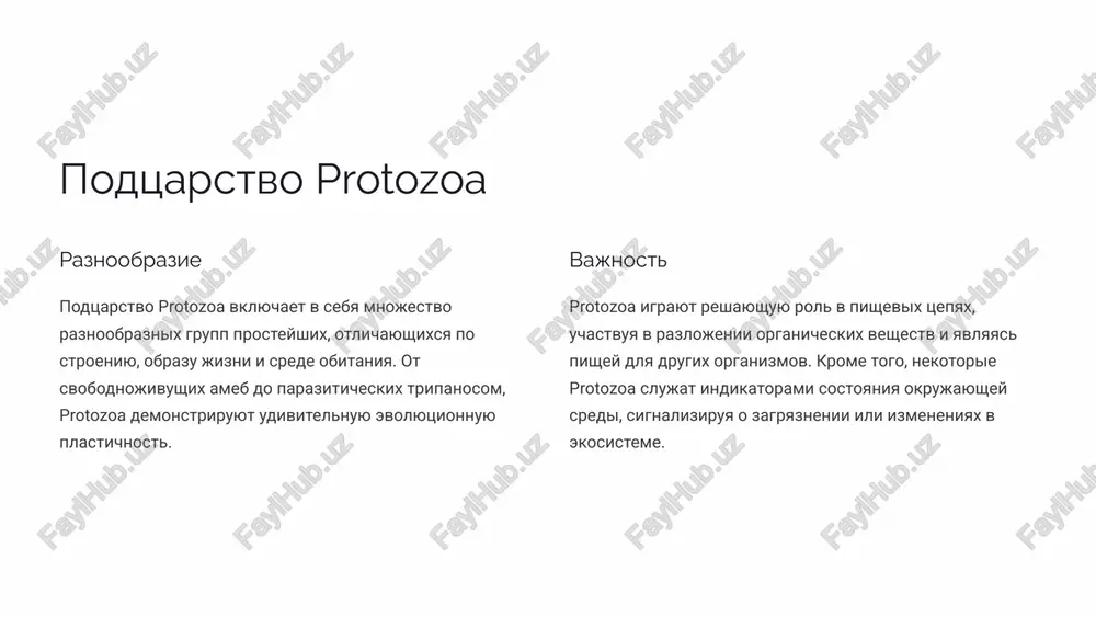 s, kotoriy zarajaet cheloveka pri ukuse. immunodepressiya zabolevanie vizivaet immunodepressiyu, delaya organizm bolee uyazvimim dlya drugix infektsiy. 5 leishmania tropica kojniy leyshmanioz leishmania tropica - parazit, vizivayushiy kojniy leyshmanioz, proyavlyayushiysya obrazovaniem yazv na koje. infitsirovanie zarajenie proisxodit pri ukuse infitsirovannogo moskita roda phlebotomus. rasprostranenie zabolevanie vstrechaetsya v tropicheskix i subtropicheskix regionax mira. 6 trypanosoma brucei afrikanskiy tripanosomoz trypanosoma brucei - parazit, vizivayushiy afrikanskiy tripanosomoz, opasnoe zabolevanie, porajayushee tsentralnuyu nervnuyu sistemu. perenoschik perenoschikom trypanosoma brucei yavlyaetsya muxa tsetse, kotoraya zarajaet cheloveka pri ukuse. simptomi simptomi zabolevaniya vklyuchayut lixoradku, golovnuyu bol, slabost, sonlivost i narusheniya sna. 7 trypanosoma cruzi 1 amerikanskiy tripanosomoz 2 porajenie organov 3 perenoschik 4 lechenie trypanosoma cruzi - parazit, vizivayushiy amerikanskiy tripanosomoz (bolezn shagasa), porajayushiy serdtse, pishevaritelnuyu sistemu i nervnuyu sistemu. zarajenie proisxodit pri ukuse klopa roda triatoma. lechenie bolezni zatrudneno, no vozmojno. 8 morfologiya i jiznenniy tsikl mastigophora 1 forma mastigophora imeyut raznoobraznie formi tela: ovalnie, veretenovidnie, …