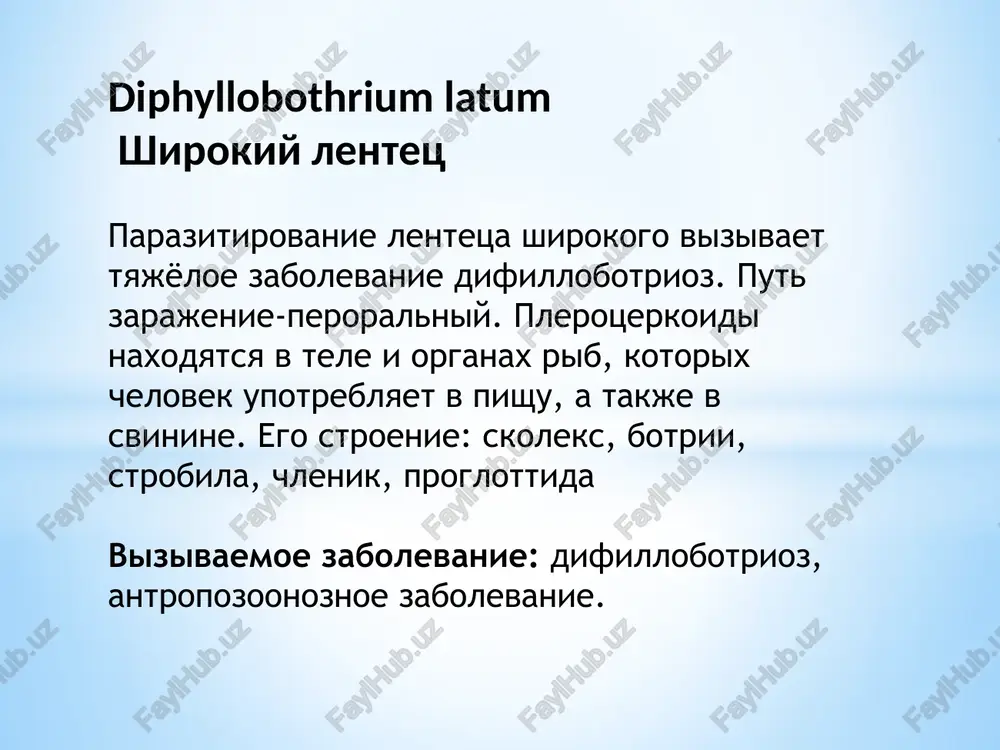 aetsya v lichinku — protserkoid, kotoriy imeet udlinennuyu formu i snabjen 6 kryuchyami na zadnem kontse tela. sxema jiznennogo tsikla shirokogo lentetsa(a) i puti peredachi difilliobotrioza: a: 1. zreliy parazit; 2. yaytso; 3. koratsidiy; 4. protserkoid; 5. pleroyerkoid. b: 1. osnovnoy xozyain; 2. promejutochniy xozyain; 3. dopolnitelniy xozyain (faktor zarajeniya) morfologiya eto samiy krupniy arazit cheloveka. dlina 10-15 metrov. golovka (skoleks) – 5 mm, prodolgovato-ovalnoy formi, splyushena s bokov i imeet dve prodolnie prisasivatelnie sheli (botrii), kotorimi lentets prikreplyaetsya k stenke tonkogo kishechnika. telo (strobila) sostoit iz mnojestva chlenikov, ix shirina bolshe dlini (vajno dlya diagnostiki). v tsentre zrelix chlenikov matka, zapolnennaya yaytsami, v vide rozetki. yaytsa krupnie shirokoovalnoy formi, dlina do 75 mkm, serogo ili jeltovatogo tsveta, s tonkoy gladkoy obolochkoy. na odnom polyuse imeetsya krishechka, na drugom bugorok. odin lentets videlyaet ejednevno neskolko millionov yaits. zona rosta – sheya. xvostovie chleniki s yaytsami ejednevno otsoedinyayutsya ot parazita i …