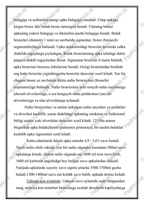 bularisni beradi. oxirgi bronxlardan boshlab eng katta bronxlar yigindisigacha bronxlar daraxtini xosil kiladi. xar bir chegara bronx uz navbatida ikkita nafas bronxiolasi (bronchii respiratorii)ga bulinadi. nafas bronxiolasi uchi torayib nafas naychasiga (ductuli alveolaris)ga, u esa kengayib nafas pufakchasi (sacculi alveolaris)ga va ular alveolalarga aylanadi. nafas bronxiolasi va undan tarkalgan nafas naychasi va pufaklari va alveolasi kushilib, uzum shaklidagi upkaning struktura va funksional birligi asinus yoki alveolalar daraxtini xosil kiladi. 12-18ta asinus birgalikda upka bulakchasini (pulmonis primorius), bir nechta bulaklar kushilib upka sigmentini xosil kiladi. katta odamlarda ikkala upka urtacha 4,9 - 5,0 l xavo buladi. tinch nafas olish vaktida (xar bir nafas olganda) taxminan 500ml xavo upkalarga kiradi, chukur nafas olganda esa 1600 ml toza xavo kirib, 1600 ml karbonat angidridga boy bulgan xavo upkalardan chikadi. natijada upkalarda xayotiy xavo sigimi urtacha 3500-3700ml gacha buladi.1300-1400ml xavo esa koldik xavo bulib, upkada doimo koladi. upkada qon aylanishi: upkada xavo aylanishi sodir …