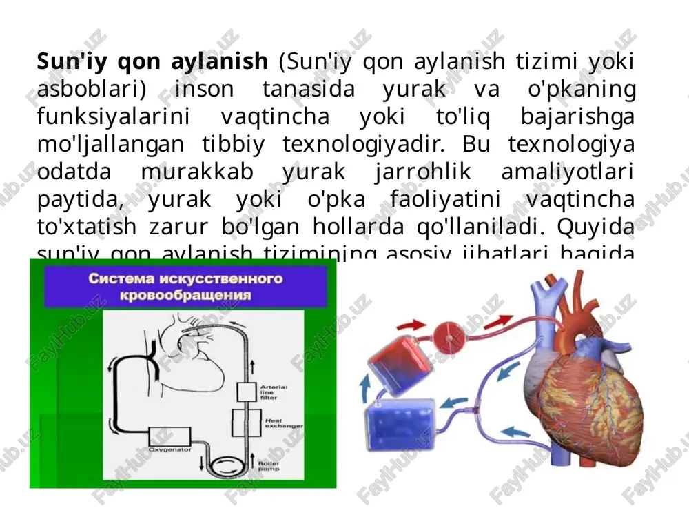 iy qon aylanish tizimlari foydalanilganda qon ivishini oldini olish uchun antikoagulyantlar qo'llanilishi zarur, bu esa qonni haddan tashqari suyultirib yuborishi mumkin. murakkab va qimmatbaho apparatlar: sun'iy qon aylanish tizimlari murakkab va qimmatbaho apparatlardir. yurak yoki o'pka funksiyasini qayta tiklash xavfi: jarrohlikdan so'ng yurak yoki o'pkaning qayta ishlashi hamma vaqt ham muvaffaqiyatli bo'lmasligi mumkin. kelajakdagi rivojlanish: yaxshilangan biomateriallar: qonni kislorod bilan boyitishda ishlatiladigan materiallarni yanada yaxshilash. kompakt va samarali dizaynlar: hozirgi sun'iy qon aylanish apparatlarini yanada ixcham va samarali qilish. yurak va o'pka o'rnini to'liq bosuvchi sun'iy a'zolar: uzoq muddatli foydalanish uchun sun'iy yurak va o'pka tizimlarini yaratish. sun'iy qon aylanish tizimi ko'plab yurak va o'pka kasalliklarini davolashda inqilobiy yutuqlar kiritgan tibbiyot sohasidir. bu tizimlar hayot uchun zarur bo'lgan jarrohlik amaliyotlarini muvaffaqiyatli amalga oshirishga imkon beradi va ko'plab bemorlarning hayotini saqlab qoladi. xulosa sun'iy yurak oʻpka apparati — bemor organizmida yoki donorning ajratib olingan aʼzosida qon bir tekis aylanishini va bir …