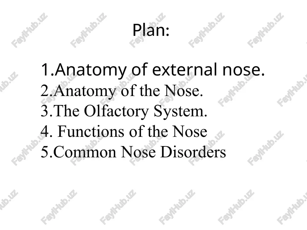 r muco-purulent discharge, which usually adheres to the mucosa and dries to form crusts. rinoscopy picture at ozen brown or yellow-green, dark crust, which covers the nasal mucosa, and often performs nearly all of its cavity. after removing the crusts nasal cavity is extended, sometimes on the mucous membrane is sticky yellow-green exudate. conclusion the nose is an essential part of the human respiratory system, responsible for filtering, warming, and humidifying the air we breathe. it also plays an important role in the sense of smell, which contributes to taste and overall quality of life. the nasal cavity protects the body by trapping dust, bacteria, and other harmful particles before they can reach the lungs. maintaining good nasal hygiene and protecting the nose from infections or allergens are important for healthy breathing. overall, the nose system is a complex and vital structure that supports both respiration and sensory functions.