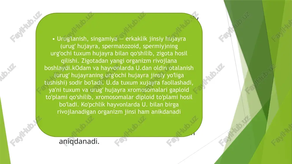 sil bo’ladi, bular bir-biriga zich taqalib joylashgan hujayralardir. har bo’linishdan keyin paydo bo’lgan hujayra kichrayib boradi, shuning uchun bu jarayon maydalanish deb ataladi blastula (yun. blastos — murtak, maisa) — koʻp xujayrali hayvonlar embrional rivojlanishi — ontogenezi davrida hosil boʻladigan murtagi. odatda erta, oʻrta va kechki blastula boʻladi. blastulaning tuzilishi tuxum hujayraning tuzilishi va maydalanish xususiyatlariga boglik. tuxum xujayra toʻliq maydalanganida, odatda, seloblastula, baʼzan sterroblastula yoki yassi blastula — plakula (blastomerlar ikkita parallel yuza boʻylab joylashganida) hosil boʻladi. diskoidal chala maydalangan tuxum hujayralardan diskoblastula, tuxum hujayra sirti boʻlinganida epiblastula paydo boʻladi. stomoblastula ham oʻziga xos blastula hisoblanadi. ayrim embriologlar morulani ham blastulaning bir xili deb hisoblashadi. blastula ontogenezning bir davri sifatida koʻp hujayrali hayvonlar kelib chiqishining umumiyligini va ular evolyutsiyasidagi parallelizmni koʻrsatuvchi dalil hisoblanadi. blastomerlar (blasto... va yun. meros — boʻlak) — koʻp xujayrali hayvonlarda urugʻlangan tuxum hujayralarning boʻlinib, maydalanish jarayonida hosil boʻladigan hujayralar. boʻlinish davrlari oraligʻida b. oʻsmaganligi sababli …