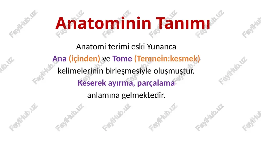 ılaştırarak inceler. sporatif anatomi: spor yüksek okullarında okutulur. daha çok hareket sistemi ağırlıklıdır. artistik anatomi: güzel sanatlar eğitimi veren okullarda okutulur, yüzeyel anatomi ağırlıklıdır. anatomi alt dalları sistematik anatomi bölgesel anatomi karşılaştırmalı anatomi cerrahi anatomi klinik anatomi yüzeyel anatomi kesitsel anatomi estetik anatomi spor anatomisi sistematik anatomi systema locomotorium (lokomotor sistem): hareket sistemi systema cardiovasculare (kardiyovasküler sistem): dolaşım sistemi systema respiratorium (respiratuvar sistem): solunum sistemi systema digestorium (dijestive sistem): sindirim sistemi systema urogenitale (üro-genital sistem): boşaltım ve üreme sistemi systema nervosum (nervöz sistem): sinir sistemi glandulae endocrinae (endokrin sistem): i̇ç salgı bezleri organa sensoria (organo sensorya): duyu organları hareket sistemi: vücudumuzun hareket etmesini sağlayan sistemdir. bu bölümde kemikler, eklemler ve kas sistemi anlatılacaktır. kemikler ve eklemler hareketin pasif, kaslar ise hareketin aktif bölümünü oluşturur. dolaşım sistemi: kanın damarlar vasıtasıyla vücuda dağılmasını sağlayan sistemdir. kalp, atardamar (arter), toplardamar (ven), kılcal damar (kapiller) ve lenf damarlarından meydana gelmiştir. solunum sistemi: nefes alıp …