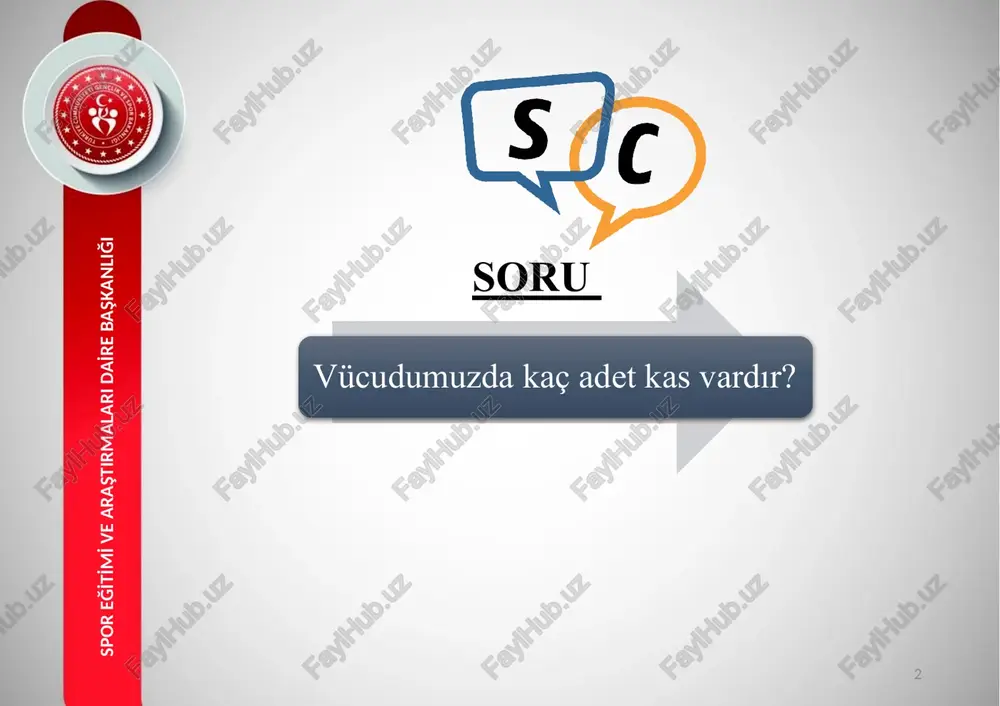 eorisi spor eği̇ti̇mi̇ ve araştirmalari dai̇re başkanliği çapraz köprü döngüsü 16 spor eği̇ti̇mi̇ ve araştirmalari dai̇re başkanliği 17 çapraz köprü döngüsü spor eği̇ti̇mi̇ ve araştirmalari dai̇re başkanliği 18 miyozin başları atp’yi hidrolize ederek yeniden oriente olur ve enerji depolar miyozin başları aktine bağlanarak çapraz köprü oluşturur miyozin çapraz köprüleri sarkomerin merkezine doğru döner (güç vuruşu) miyozin başı atp bağlandığında çapraz köprüler ayrılır anahtar ca++ iyonu çapraz köprü döngüsü spor eği̇ti̇mi̇ ve araştirmalari dai̇re başkanliği hareketi̇n si̇ni̇r-kas kontrolü 19 spor eği̇ti̇mi̇ ve araştirmalari dai̇re başkanliği i̇skelet kasları direkt olarak medulla spinalis ön boynuzunda bulunan alfa motor nöronlar tarafından uyarılır (innerve edilir). bir alfa motor nöron ve innerve ettiği kas lifleri motor ünite olarak adlandırılır. 20 spor eği̇ti̇mi̇ ve araştirmalari dai̇re başkanliği motor ünite kasılabilir birim olarak değerlendirilir ve motor sinirin uyarılması ile sinir lifinin etkilediği kas lifleri eş zamanlı olarak kasılır. sinir lifinin kas lifini uyardığı bölgede, sinir lifi miyelin kılıfını …