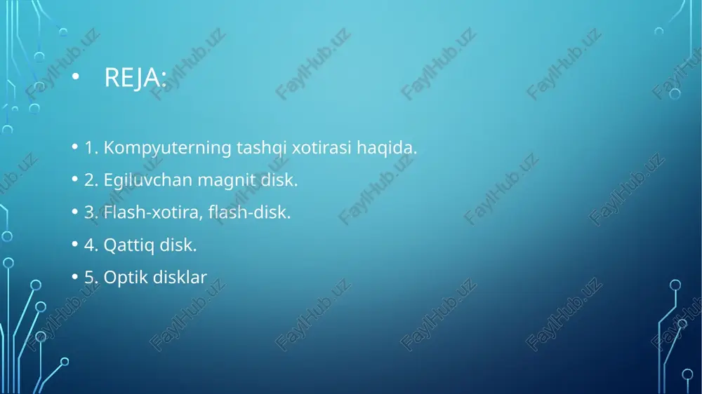 egiluvchan magnit disk - Page 2