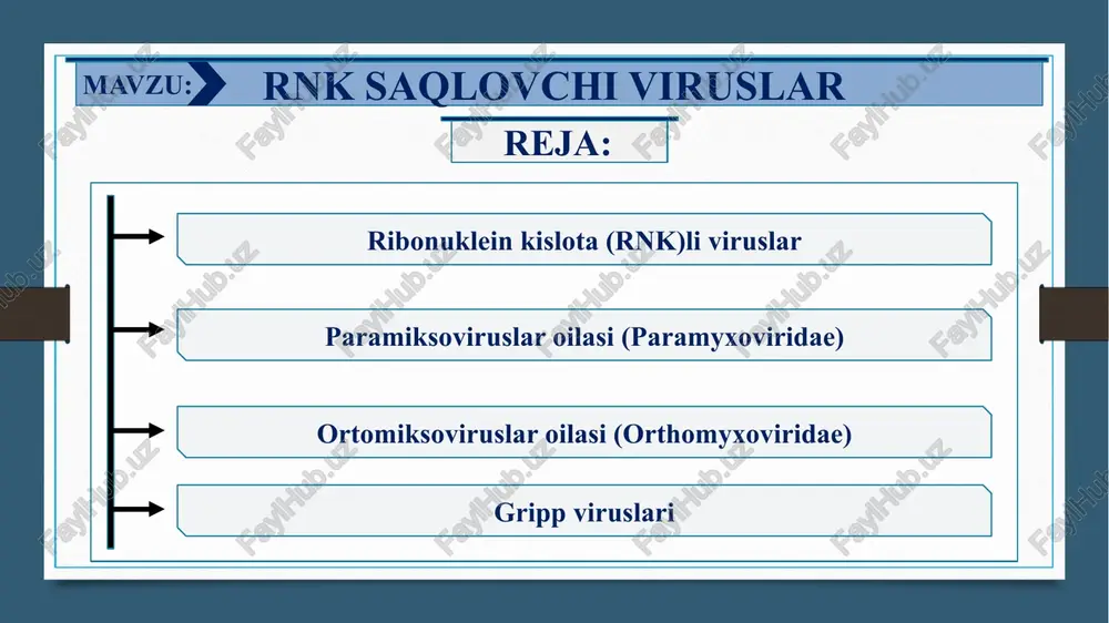kzema kerotokon’yuktivit, gerpetik isitma chaqaloqlar uchug‘i (qon orqali tarqalgan va jinsiy organlar uchuq) bolalarda suv chechak, katalarda o‘rab oluvchi temiratki rnk-viruslar orthomyxoviridae oilasi gripp a viruslari gripp v va s viruslari gripp (epidemiya, pandimiyalar, sporadik xollari) gripp (sporadik xollari, epidemiyalar) paramyxoviridae oilasi paragripp viruslari, nyukastl, respirator sinsital virus (rsv) tepki virusi qizomiq virusi o‘tkir resperator kasalliklar (o‘rk) tepki qizomiq coronaviridae –oilasi korona viruslar o‘tkir resperator kasalliklar (o‘rk) picornaviridae oilasi rinoviruslar a10, a21, a24, a2, a4, a5 koksaki viruslari va boshqalar yesno20 virusi va boshqalar rinitlar,bronxitlar, o‘tkir resperator kasalliklar (o‘rk) gerpangin va o‘tkir resperator kasalliklar (o‘rk) reoviridae oilasi rioviruslar o‘tkir resperator kasalliklar (o‘rk), zotiljam, bronxitlar ribonuklein kislota (rnk)li viruslar odam uchun patogen viruslarining ko‘p qismi rnk tutuvchi viruslarga mansub. ular bir-biridan genomning tuzilishi, o‘zgaruvchanligi bilan farq qiladi. natijada yangi viruslar paydo bo‘ladi. ko‘pgina rnk tutuvchi viruslar xo‘jayin hujayraning sitoplazmasida ko'payadi, ammo ayrim viruslar rivojlanishning ma’lum bosqichida hujayra yadrosining ichida ham joylashadi. …