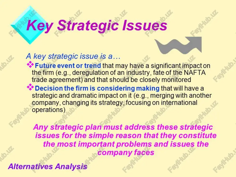 g agreements, loan agreements schedule of compensation paid to management showing separately salary, bonuses, & non-cash compensation summary of management incentive or bonus plans /docprops/thumbnail.jpeg key strategicissues whatare keysraepeisies? ‘strteyc issues are those findarenl poy choices or crial halergeshatmustbe addtessedin ‘order fora communiyte achieve ts vison.