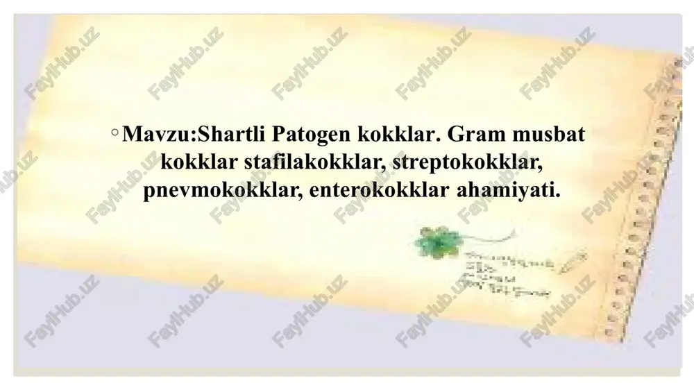 xivchinsiz, harakatsiz, kapsula va spora hosil qilm aydi, gram usulida musbat bo'yaladi. asosan patogen turlari nozik kapsulaga ega o‘sishi. stafilokokklar nafas olishiga ko‘ra fakultativ anaerob, ular oziq muhitlarga talabchan emas. ph 7,2-7,4 va 37°c harorat ularning o ‘sishi uchun qulay sharoit, lekin 10°c dan 45°c gacha boigan haroratda ham o ‘sishi mumkin. g o‘sht-peptonli bulonda (gpb) bir xil quyqa hosil qilib ko'payadi. stafilokokklar go‘sht-peptonli agarda (gpa) dumaloq, chetlari tekis, diametri 1-4 mm bo’lgan yaltiroq s-shakldagi koloniyalar hosil qiladi uy sharoitida yetarli yorug’lik va havo bo’lgan xonada stafilokokklar oq, ba’zan tillarang yoki limonga o'xshash sariq lipoxromlardan iborat bolgan pigmentlar hosil qiladi. ular sutli va kartoshkali agarda 20-25°s da tez hosil bo'ladi. bu moddalar suvda erimaydi, ammo spirt va organik erituvchilarda eriydi. koloniyalar rangi ular tarkibidagi pigmentlarga bog'liq. stafilokokklar asosan, s-, ba’zan r-, g - va l - shaklidagi koloniyalarni ham hosil qilishi mumkin. patogen stafilokokklar qonli agarda eritrotsitlarni gemoliz qilish xususiyatiga …