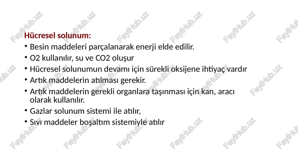 k4.xml ppt/ink/ink3.xml ppt/ink/ink2.xml ppt/ink/ink1.xml ppt/media/image6.jpeg ppt/theme/theme1.xml ppt/presprops.xml ppt/viewprops.xml ppt/tablestyles.xml ppt/media/media1.mp4 ppt/media/media2.mp4 ppt/media/media3.mp4 docprops/core.xml docprops/app.xml ppt/media/image14.png ppt/media/image15.png ppt/media/image1.jpeg ppt/media/image10.jpeg ppt/media/image11.jpeg ppt/media/image12.png ppt/media/image13.png ppt/media/image16.jpeg ppt/media/image17.jpeg ppt/media/image18.jpeg ppt/media/image19.jpeg ppt/media/image2.jpeg ppt/media/image20.jpeg ppt/media/image21.jpeg ppt/media/image22.jpeg ppt/media/image23.png ppt/media/image24.png ppt/media/image25.jpeg ppt/media/image26.jpeg ppt/media/image27.png ppt/media/image28.jpeg ppt/media/image29.jpeg ppt/media/image3.jpeg ppt/media/image30.png ppt/media/image31.png ppt/media/image32.jpeg ppt/media/image33.jpeg ppt/media/image34.jpeg ppt/media/image35.jpeg ppt/media/image36.png ppt/media/image37.png ppt/media/image38.png ppt/media/image39.png ppt/media/image4.jpeg ppt/media/image40.jpeg ppt/media/image41.jpeg ppt/media/image42.png ppt/media/image43.jpeg ppt/media/image44.png ppt/media/image5.png ppt/media/image7.jpeg ppt/media/image8.jpeg ppt/media/image9.jpeg ppt/slides/_rels/slide1.xml.rels ppt/slides/_rels/slide11.xml.rels ppt/slides/_rels/slide12.xml.rels ppt/slides/_rels/slide13.xml.rels ppt/slides/_rels/slide14.xml.rels ppt/slides/_rels/slide15.xml.rels ppt/slides/_rels/slide16.xml.rels ppt/slides/_rels/slide18.xml.rels ppt/slides/_rels/slide19.xml.rels ppt/slides/_rels/slide20.xml.rels ppt/slides/_rels/slide22.xml.rels ppt/slides/_rels/slide23.xml.rels ppt/slides/_rels/slide24.xml.rels ppt/slides/_rels/slide25.xml.rels ppt/slides/_rels/slide28.xml.rels ppt/slides/_rels/slide29.xml.rels ppt/slides/_rels/slide32.xml.rels ppt/slides/_rels/slide6.xml.rels ppt/slides/_rels/slide7.xml.rels ppt/slides/_rels/slide8.xml.rels ppt/slides/_rels/slide9.xml.rels ppt/slides/slide11.xml ppt/slides/slide12.xml ppt/slides/slide13.xml pp